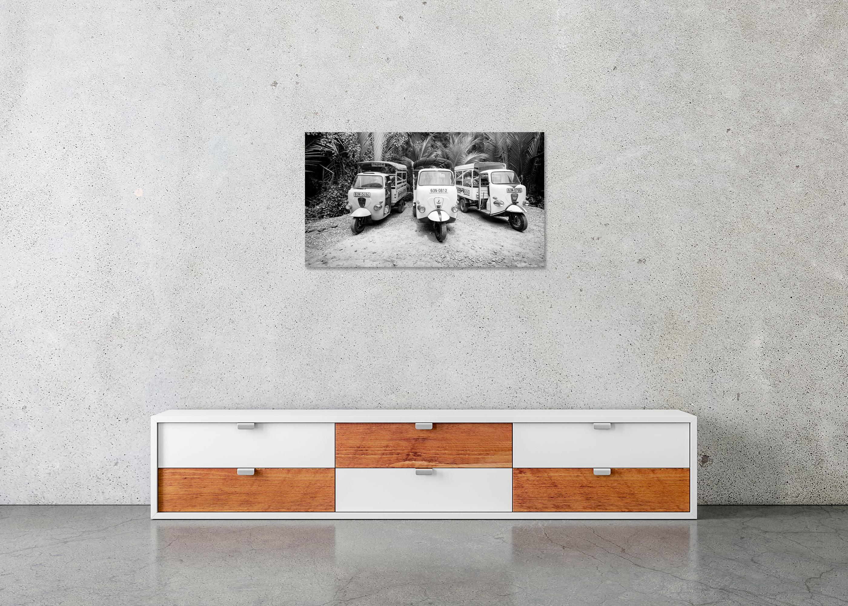 Tuk, Tuk, Jungle, Lambros 550, Vietnam, édition limitée de photographies de paysages en vente 4