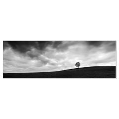 Turbulent Times, single Tree - black and white photography - landscape panorama