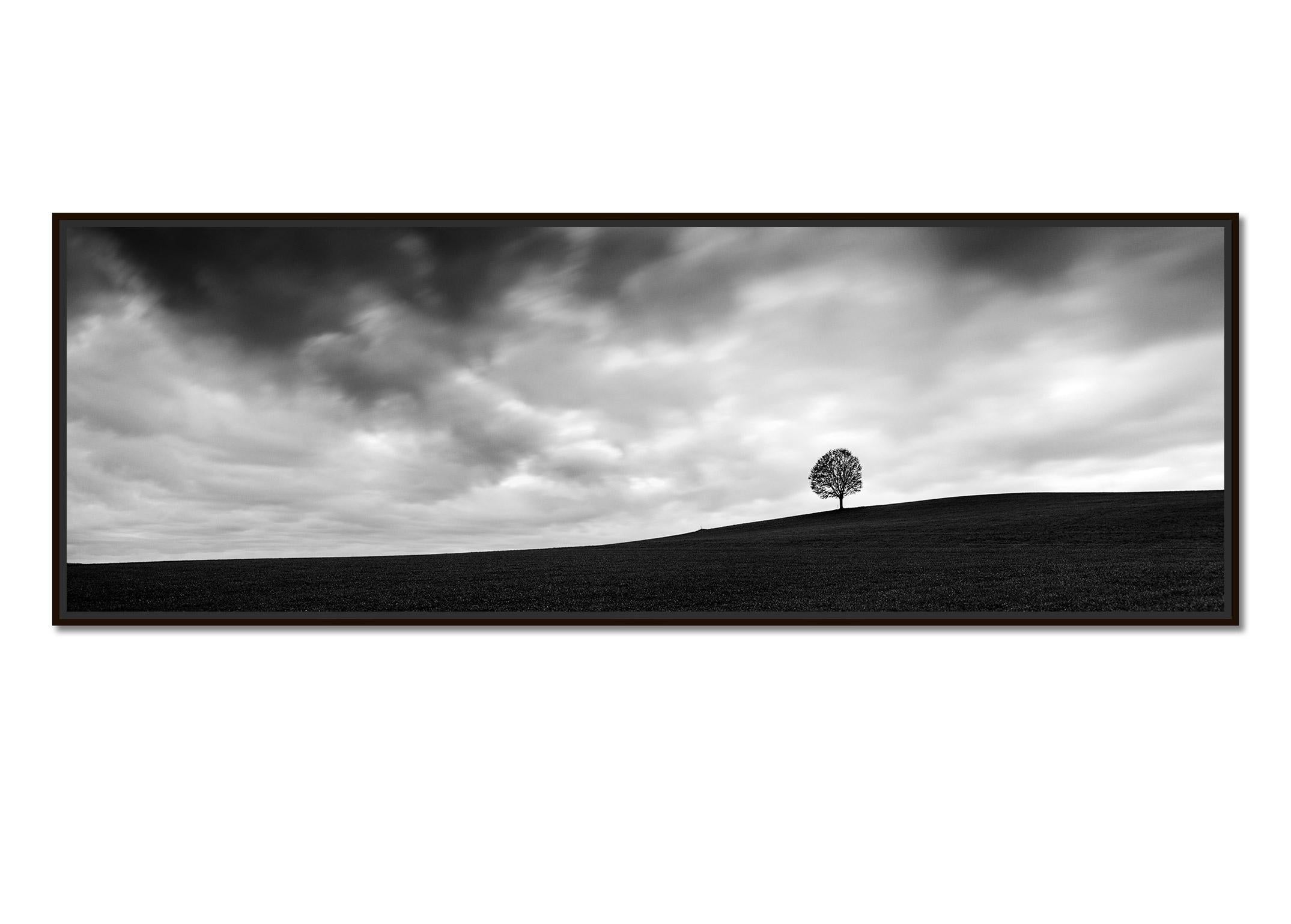 Turbulent Times, single tree panorama, black and white landscape art photography - Photograph by Gerald Berghammer