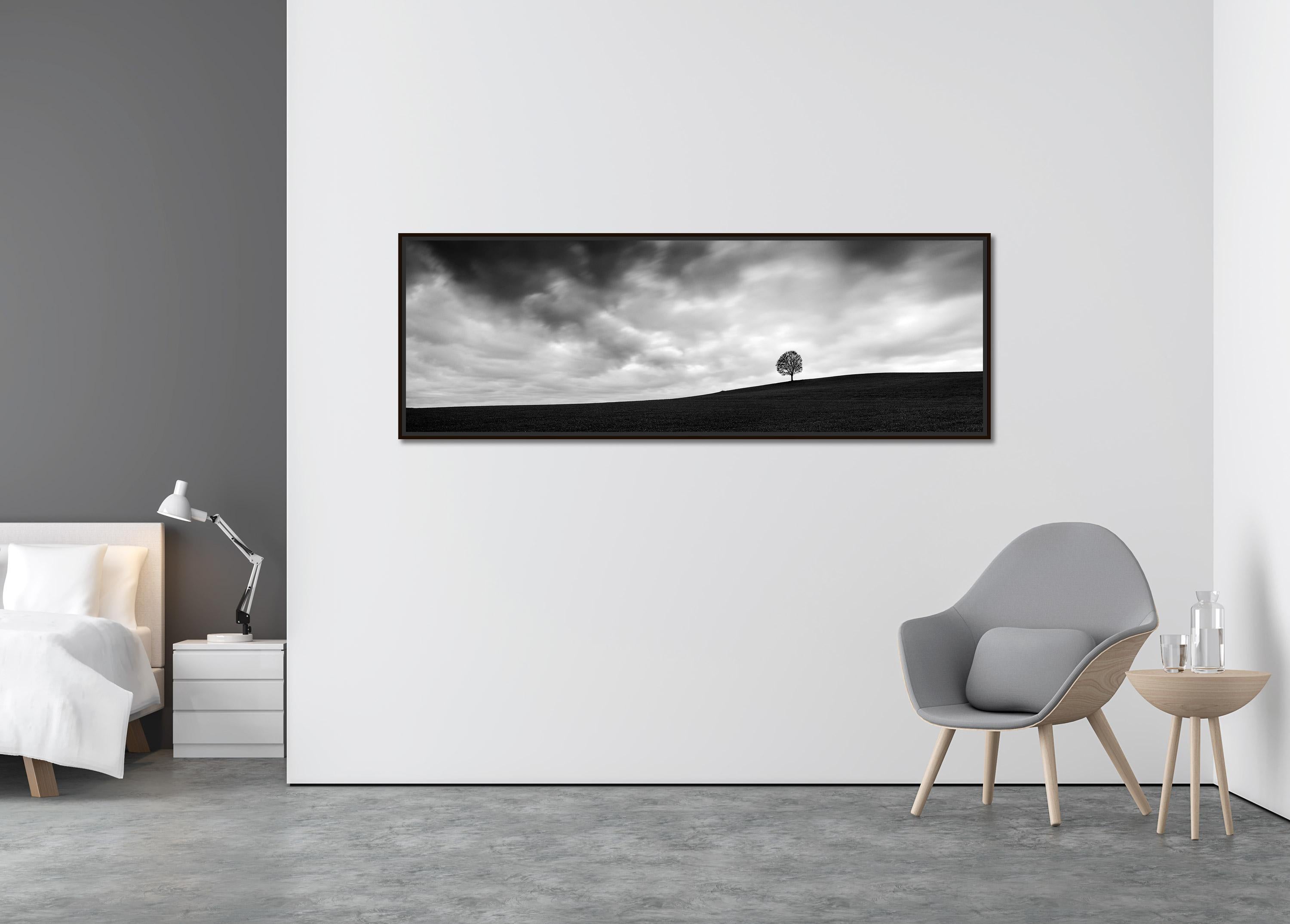 Turbulent Times, single tree panorama, black and white landscape art photography - Contemporary Photograph by Gerald Berghammer