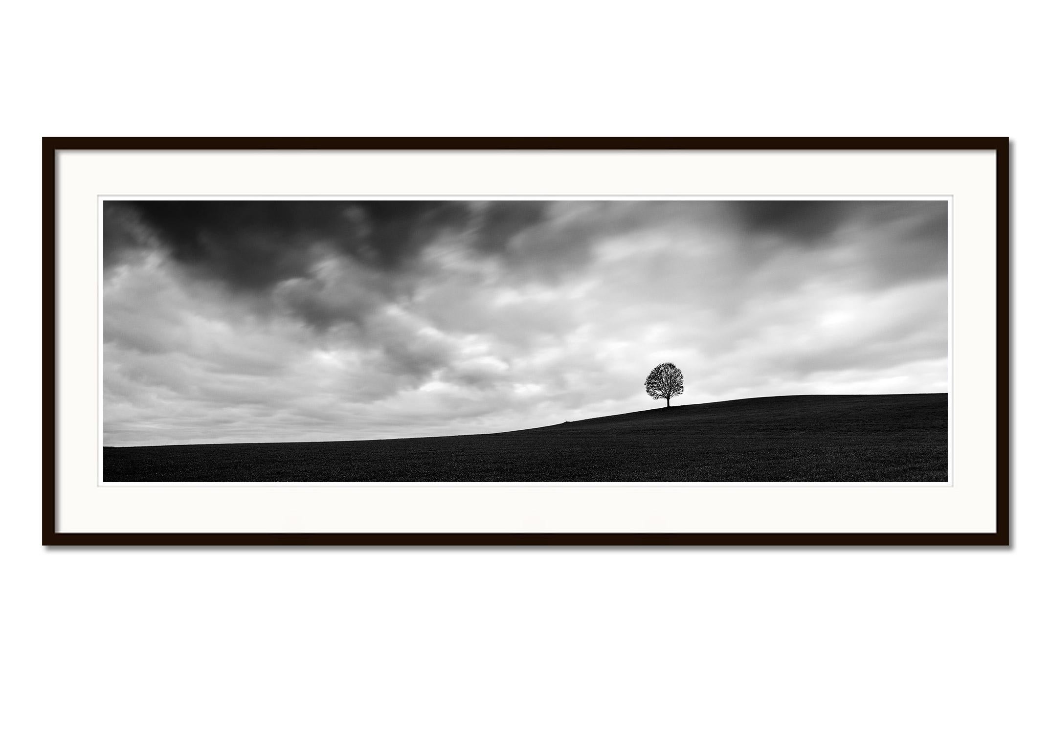 Turbulent Times, single tree panorama, black and white landscape art photography - Gray Landscape Photograph by Gerald Berghammer