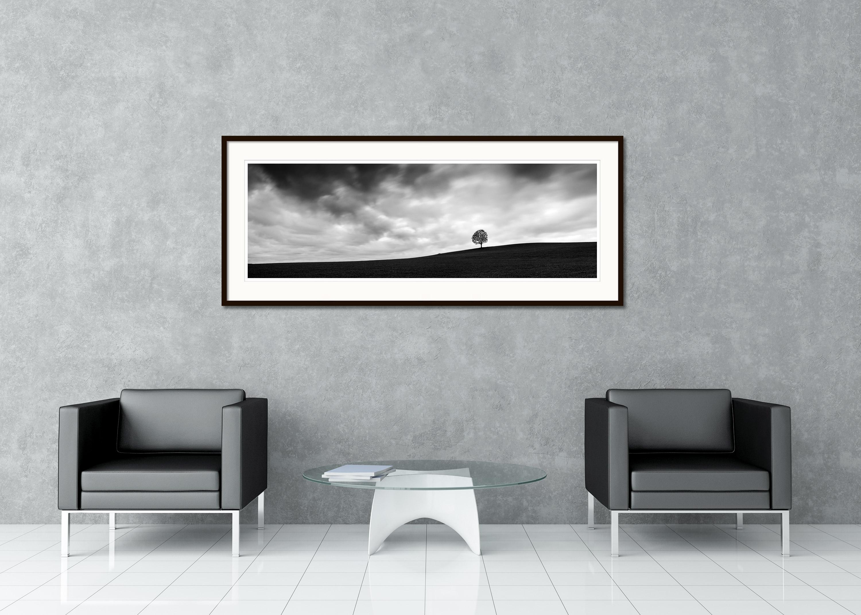 Black and White Fine Art panorama photography - Single tree on field with impressive clouds, Austria. Archival pigment ink print, edition of 9. Signed, titled, dated and numbered by artist. Certificate of authenticity included. Printed with 4cm