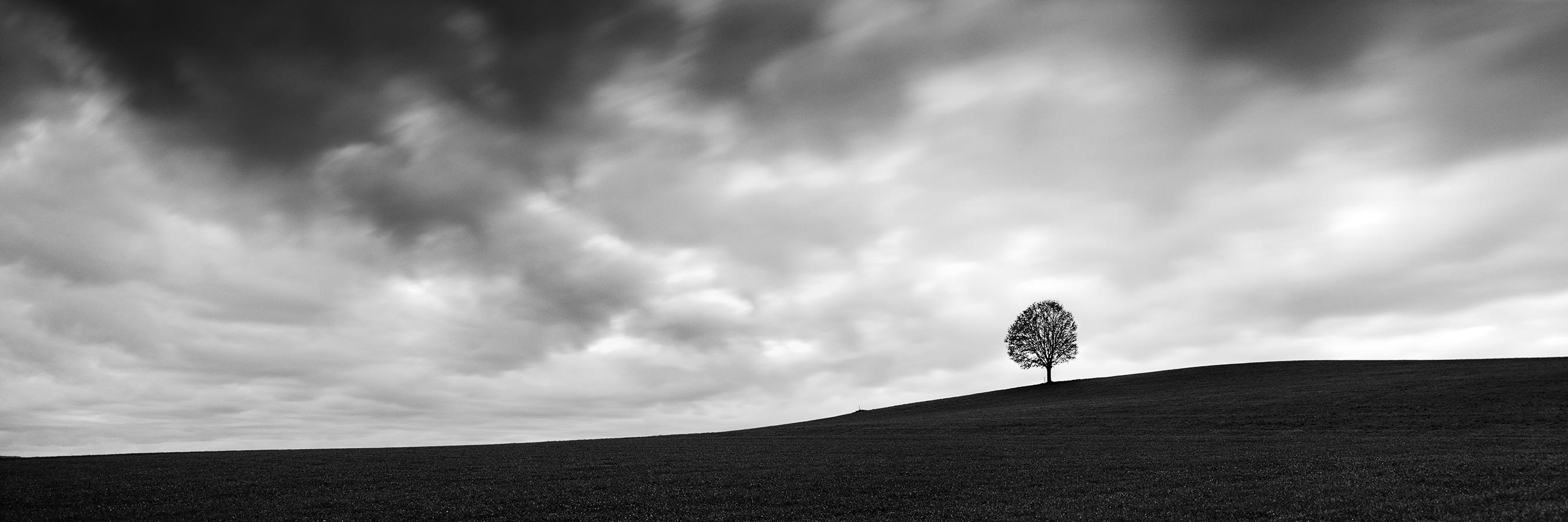 Gerald Berghammer Landscape Photograph - Turbulent Times, single tree panorama, black and white landscape art photography