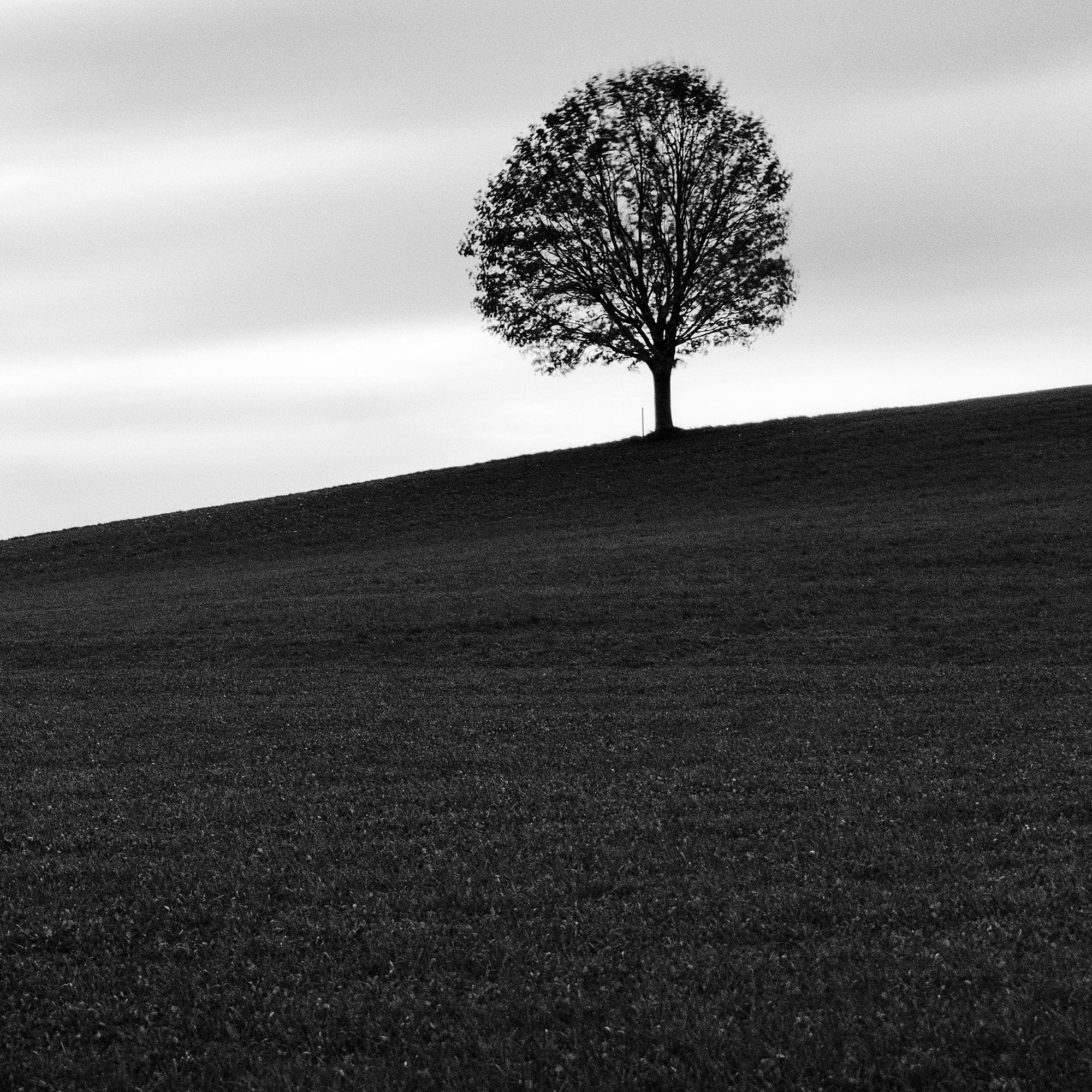 Turbulent Times, Single Tree, Storm, Long Exposure, black and white photography For Sale 5