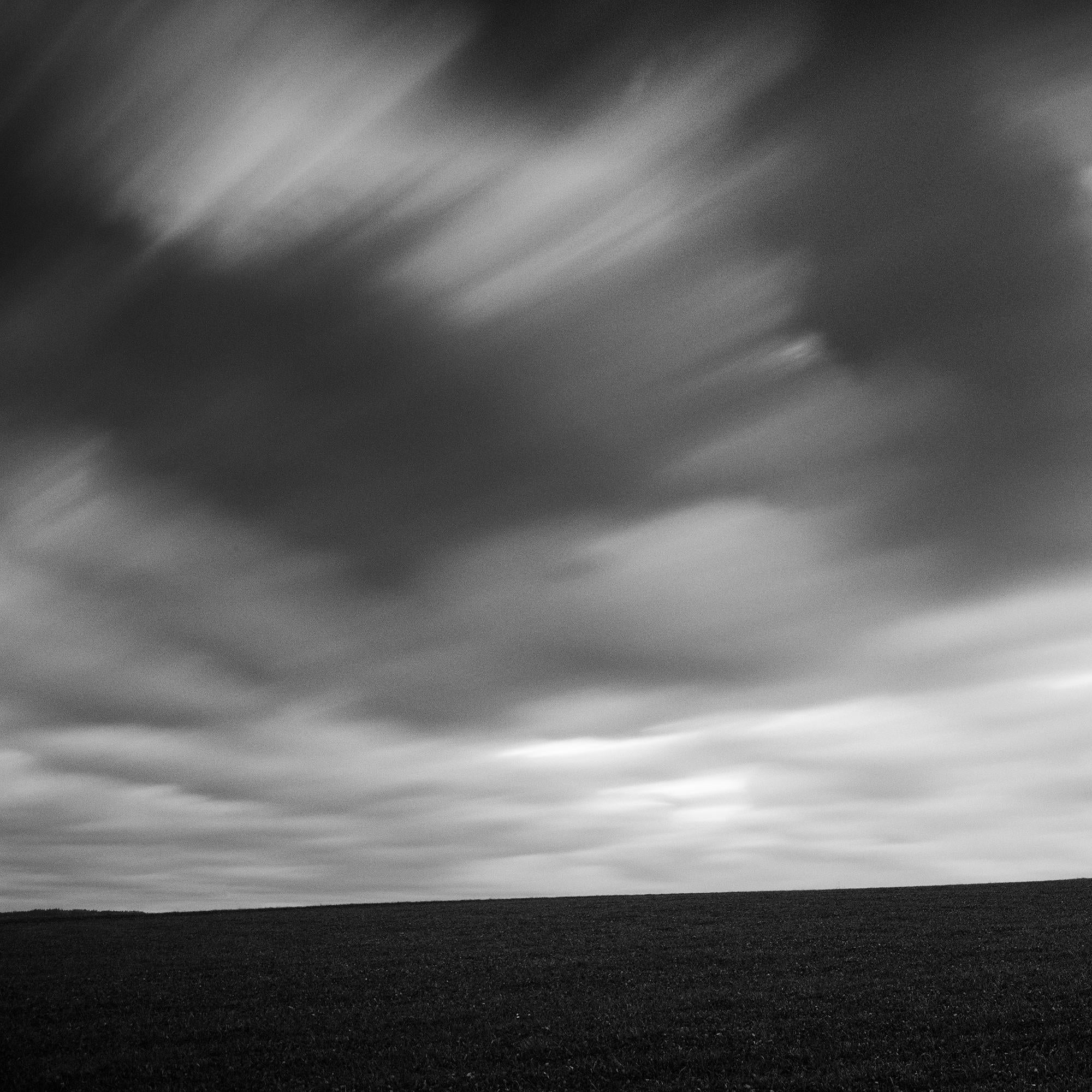 Turbulent Times, Single Tree, Storm, Long Exposure, black and white photography For Sale 3