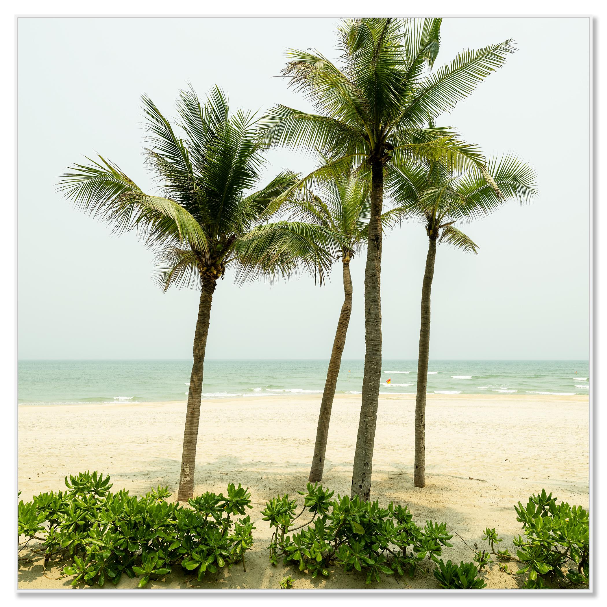Eau turquoise avec palmiers. photographie de paysage en couleur - édition limitée - Photograph de Gerald Berghammer