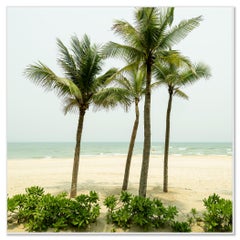 Turquoise Water with Palm Trees. color landscape photography - limited edition