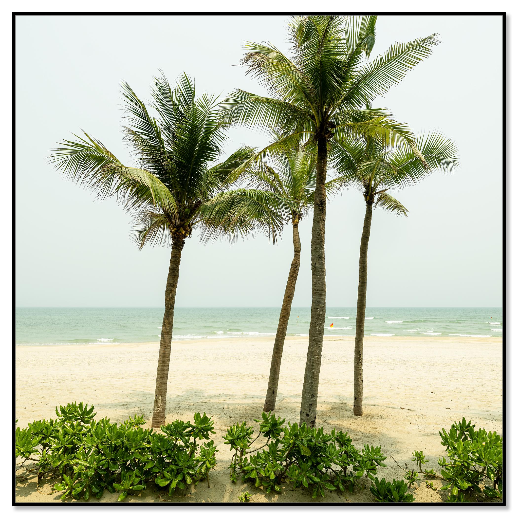Eau turquoise avec palmiers. photographie de paysage en couleur - édition limitée - Contemporain Photograph par Gerald Berghammer