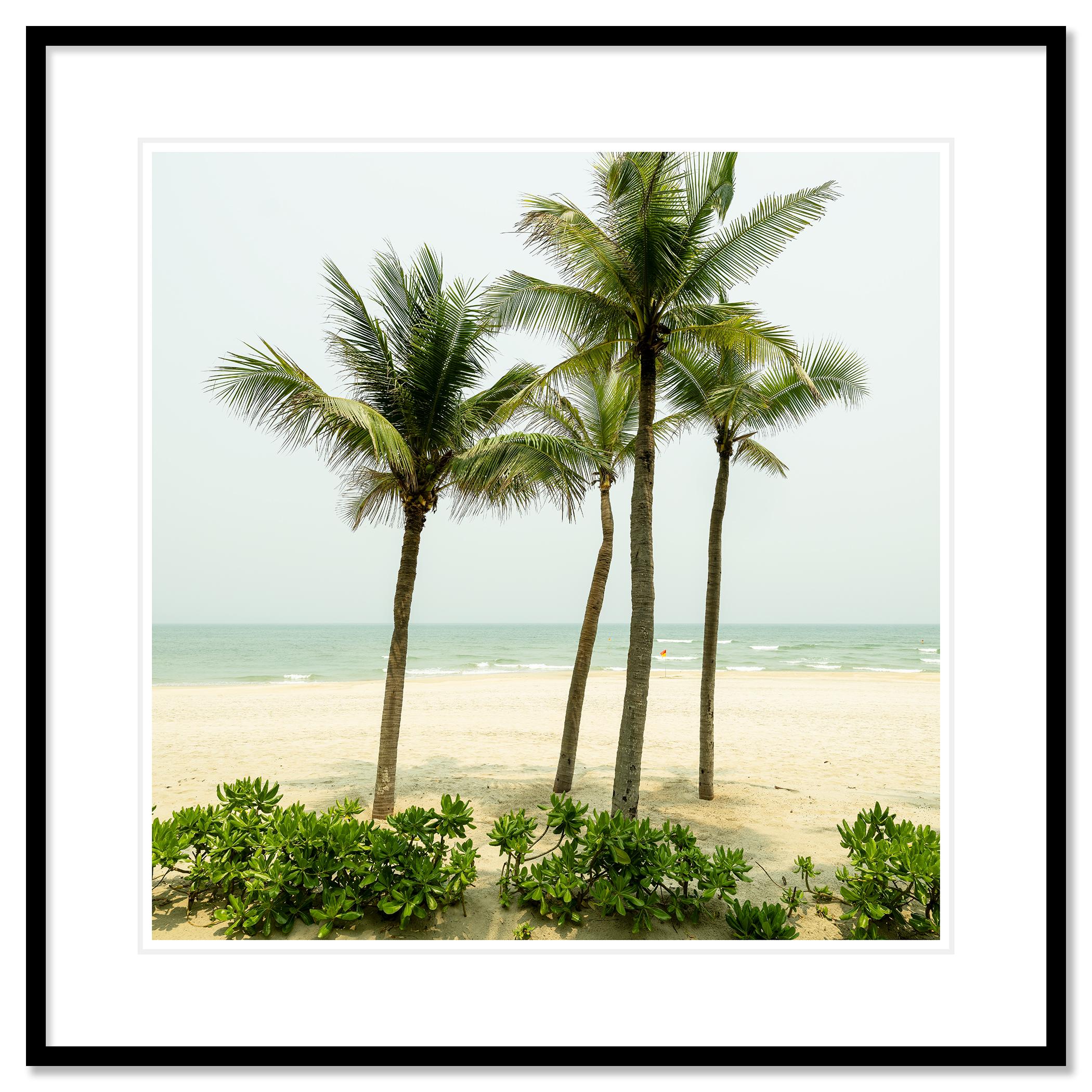 Eau turquoise avec palmiers. photographie de paysage en couleur - édition limitée en vente 1