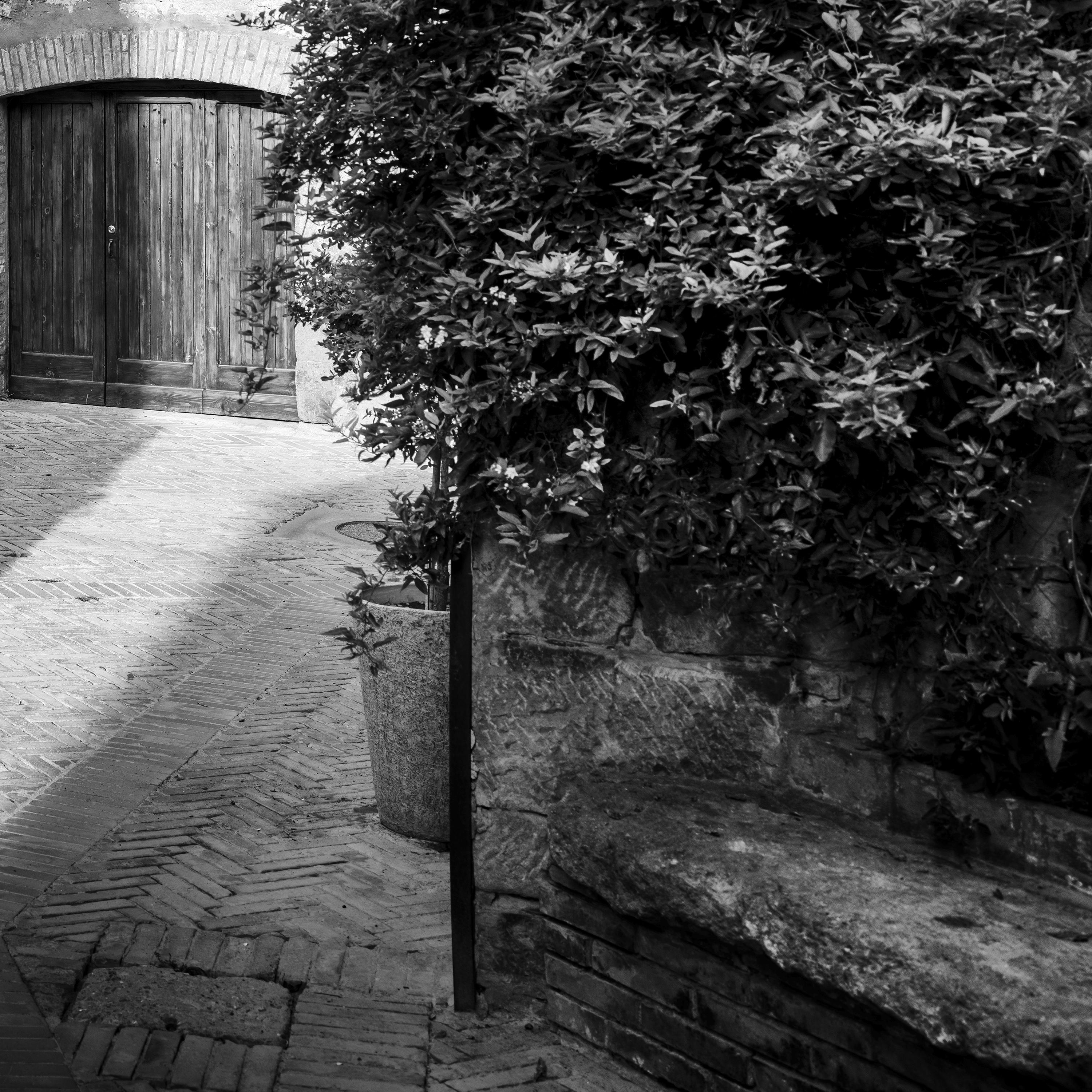 Tuscan Courtyard, old Town, Tuscany, Italy, black and white photography print For Sale 6