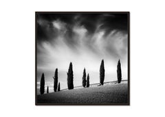 Tuscany Cypress Road, Amazing Clouds, Italy, landscape photo, limited edition