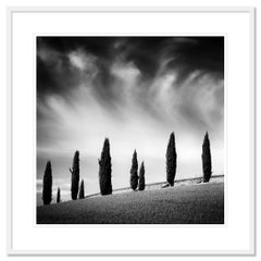 Tuscany Cypress Road, Amazing Clouds - Limited Edition Schwarz-Weiß-Landschaft