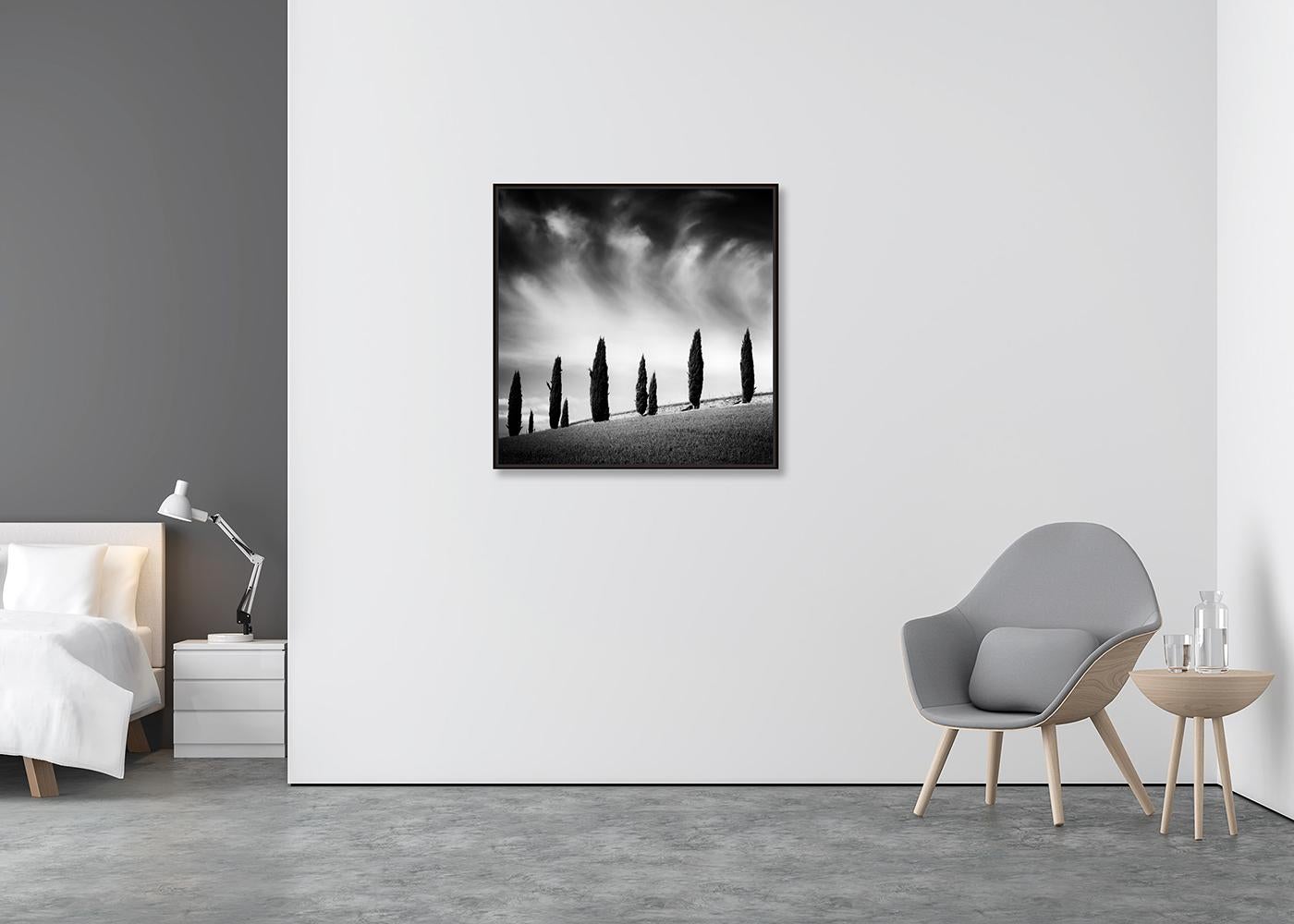 Tuscany Cypress Road, Amazing Clouds, Italy, landscape photo, limited edition - Contemporary Photograph by Gerald Berghammer