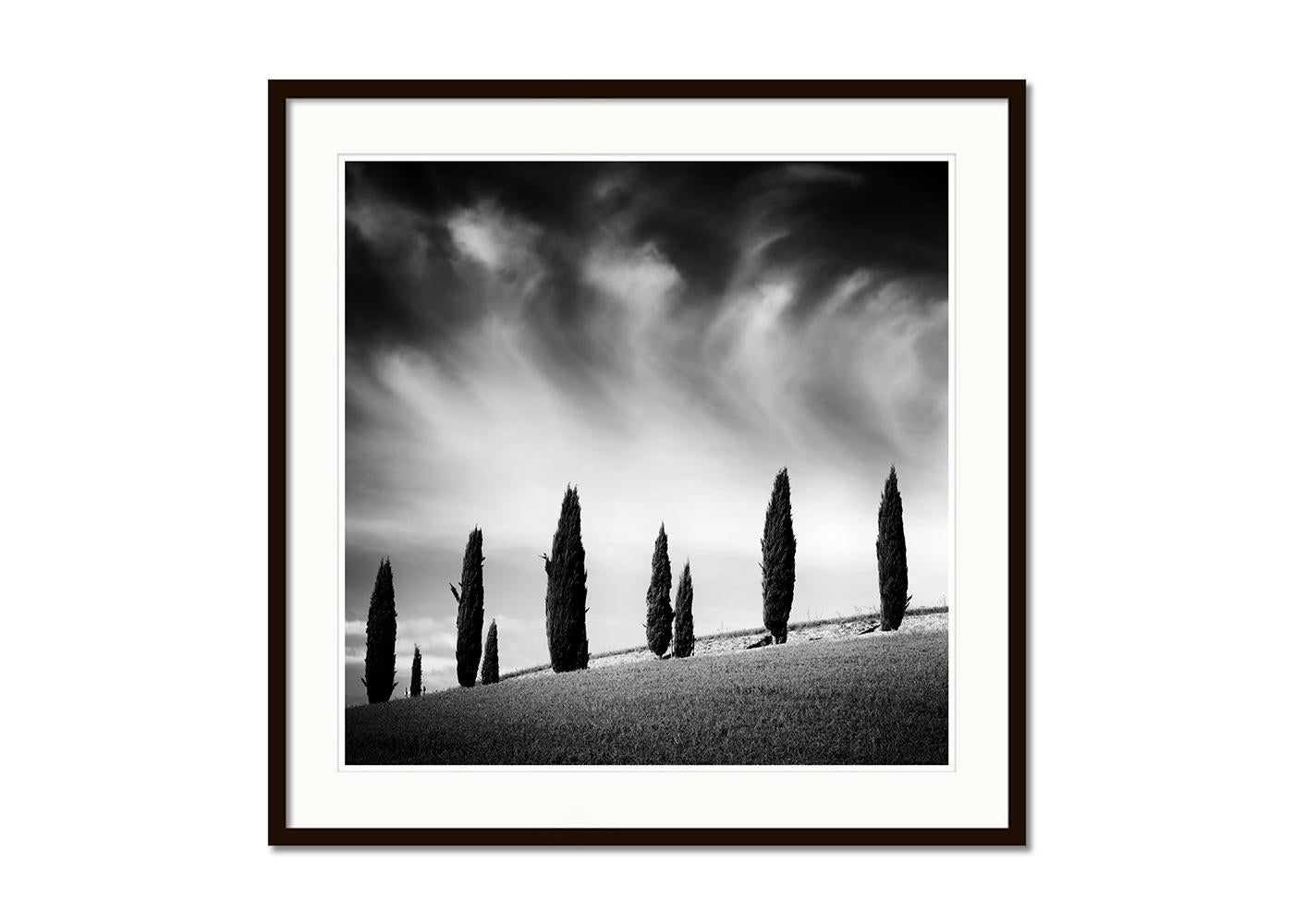 Tuscany Cypress Road, Amazing Clouds, Italy, landscape photo, limited edition - Black Landscape Photograph by Gerald Berghammer