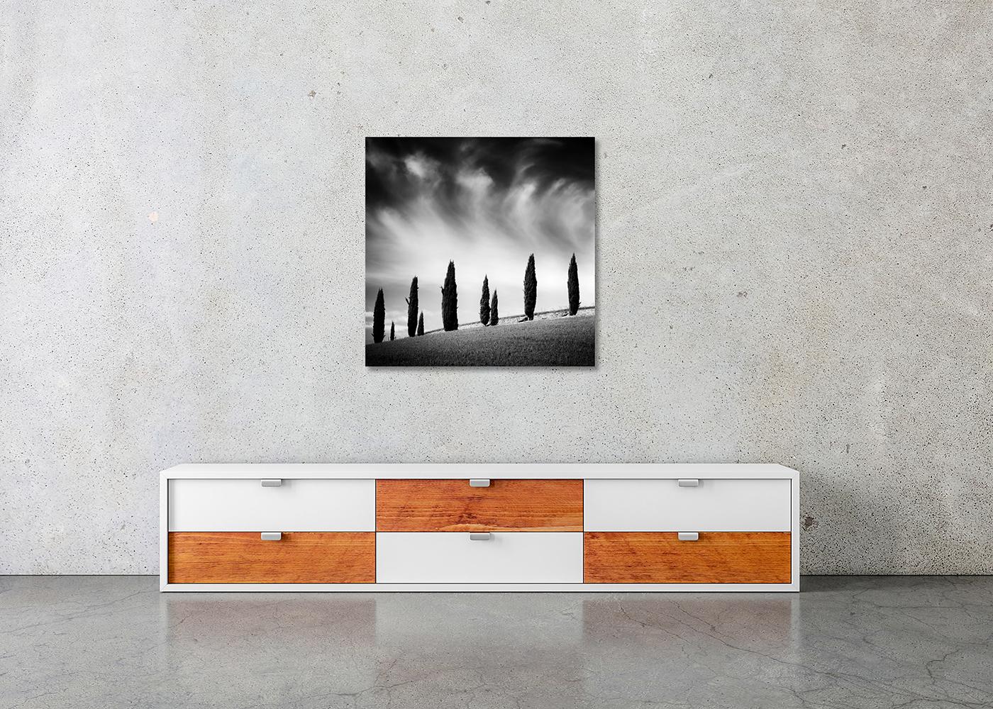 Tuscany Cypress Road, Amazing Clouds, Italy, landscape photo, limited edition For Sale 2