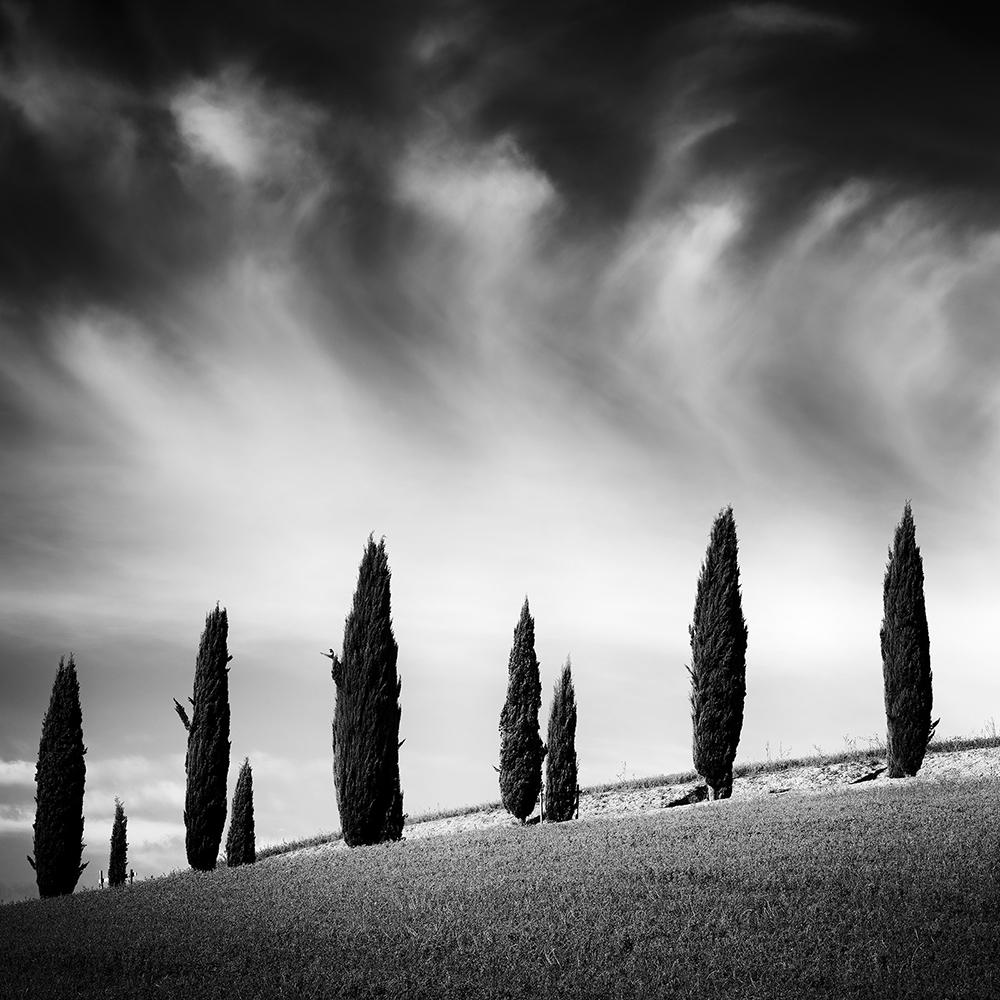 Gerald Berghammer Landscape Photograph - Tuscany Cypress Road, Amazing Clouds, Italy, landscape photo, limited edition