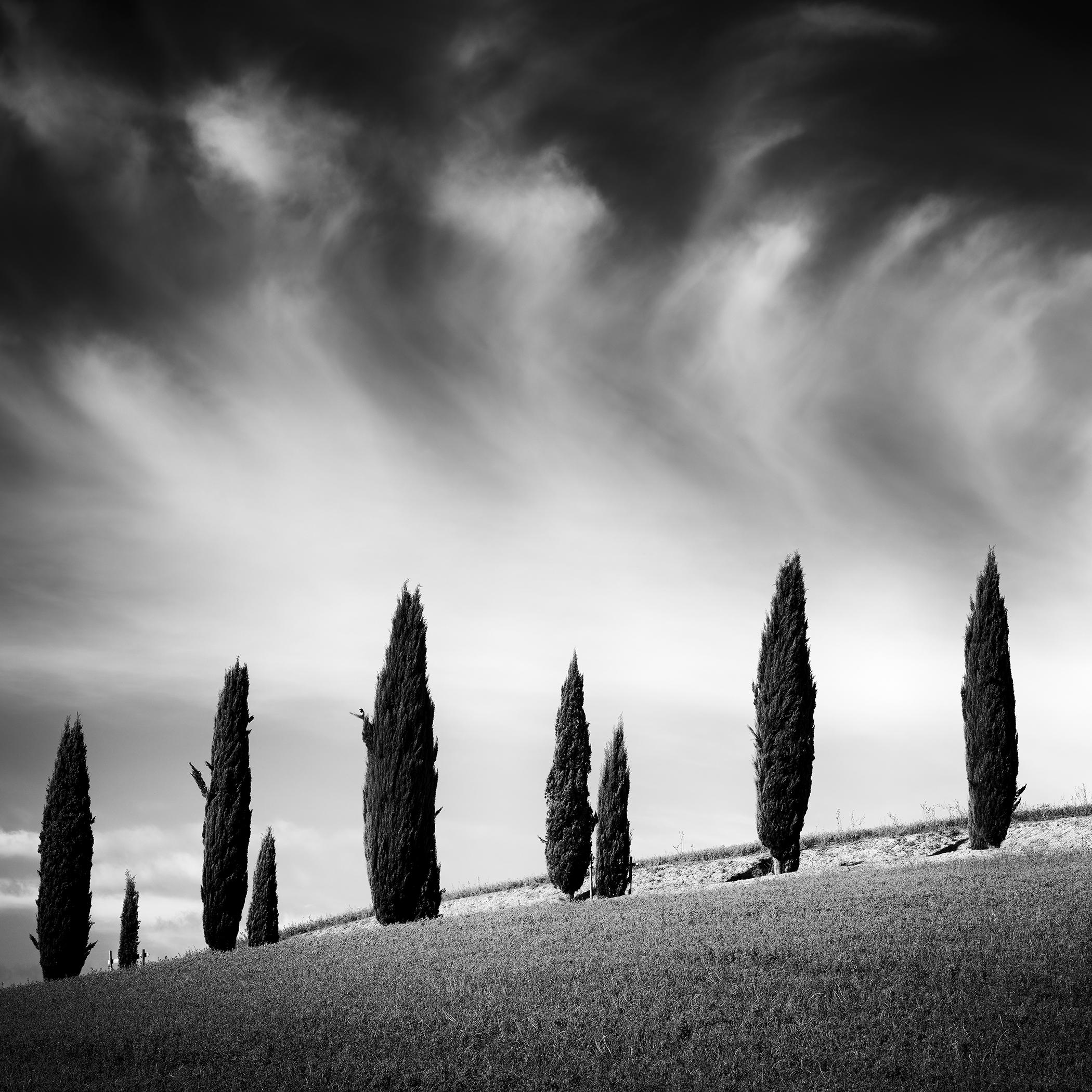 Tuscany Cypress Road, Amazing Clouds – Limited Edition Black and White Landscape