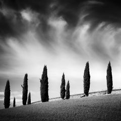 Tuscany Cypress Road, Amazing Clouds - Limited Edition Schwarz-Weiß-Landschaft