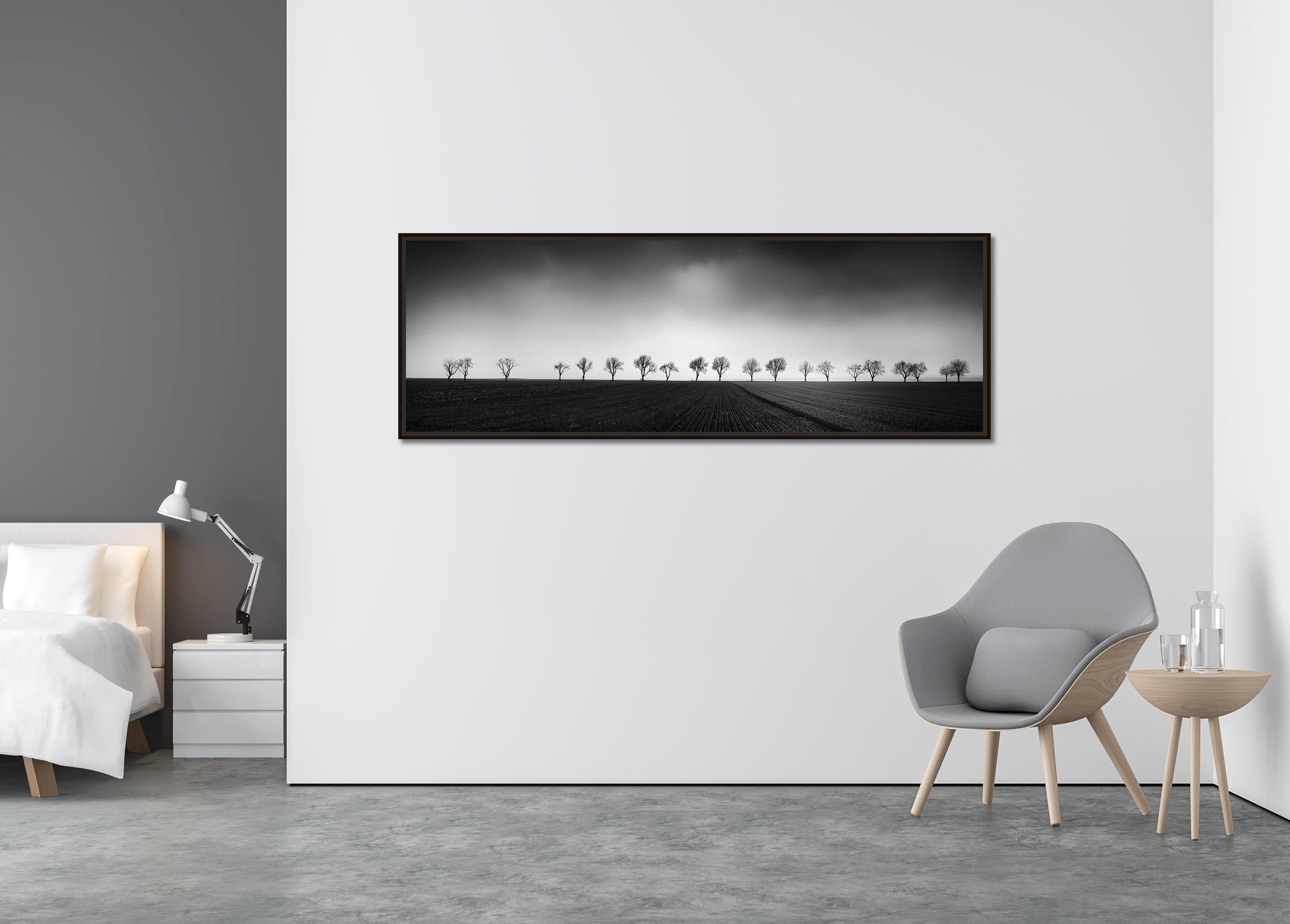 Twenty cherry Trees avenue cornfield black white panorama landscape photography - Contemporary Photograph by Gerald Berghammer