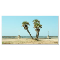 Twin Palms by the Sea, Tuscany, Colour Landscape Photography, Limited Edition