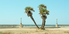 Twin Palms by the Sea, Tuscany, Colour Landscape Photography, Limited Edition
