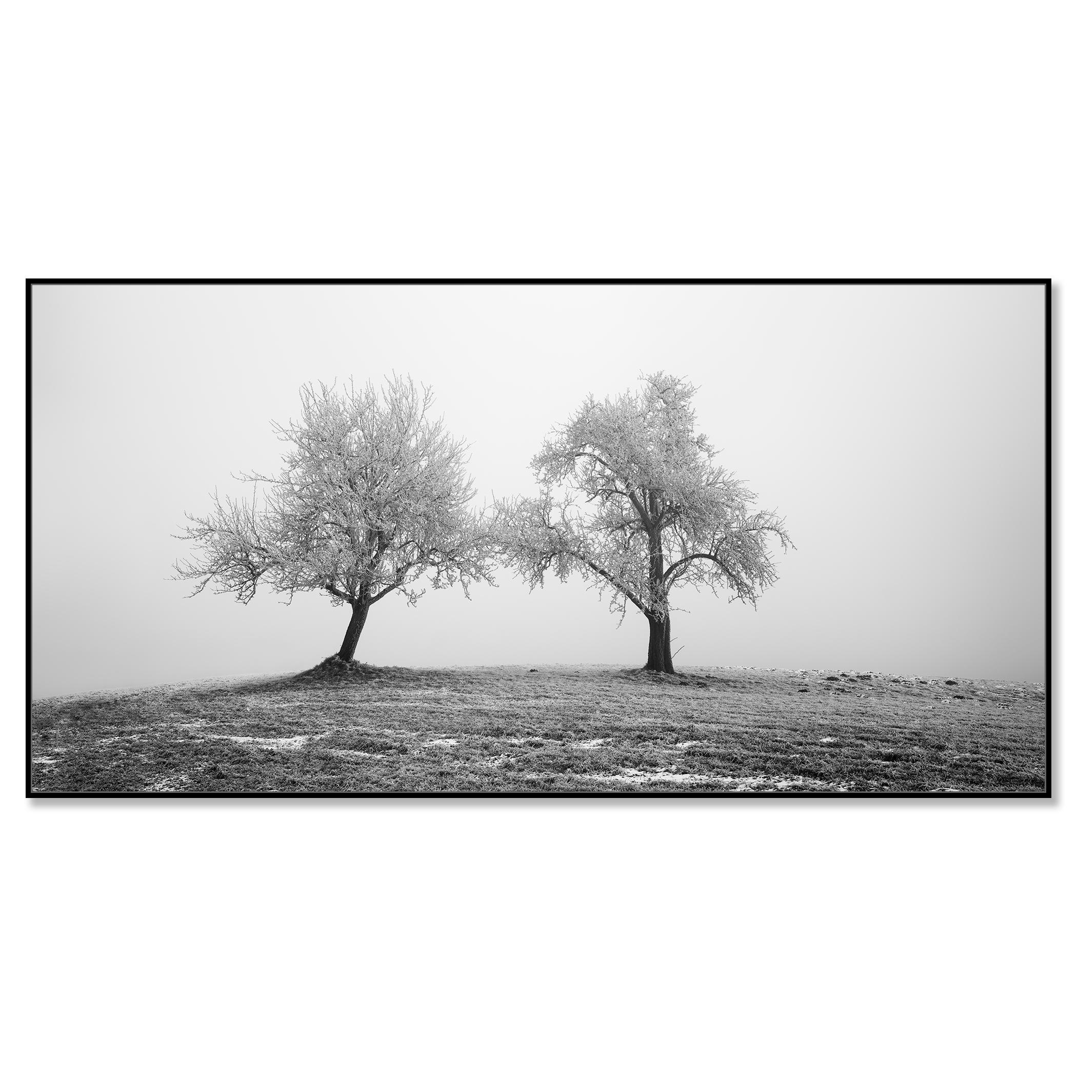 Zwei einsame gefrorene Bäume Panorama Landschaft Nature – Photograph von Gerald Berghammer