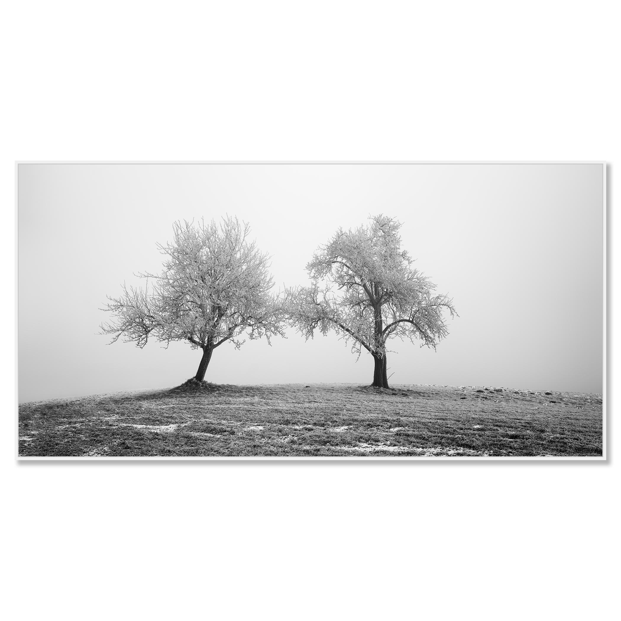 Zwei einsame gefrorene Bäume Panorama Landschaft Nature (Zeitgenössisch), Photograph, von Gerald Berghammer