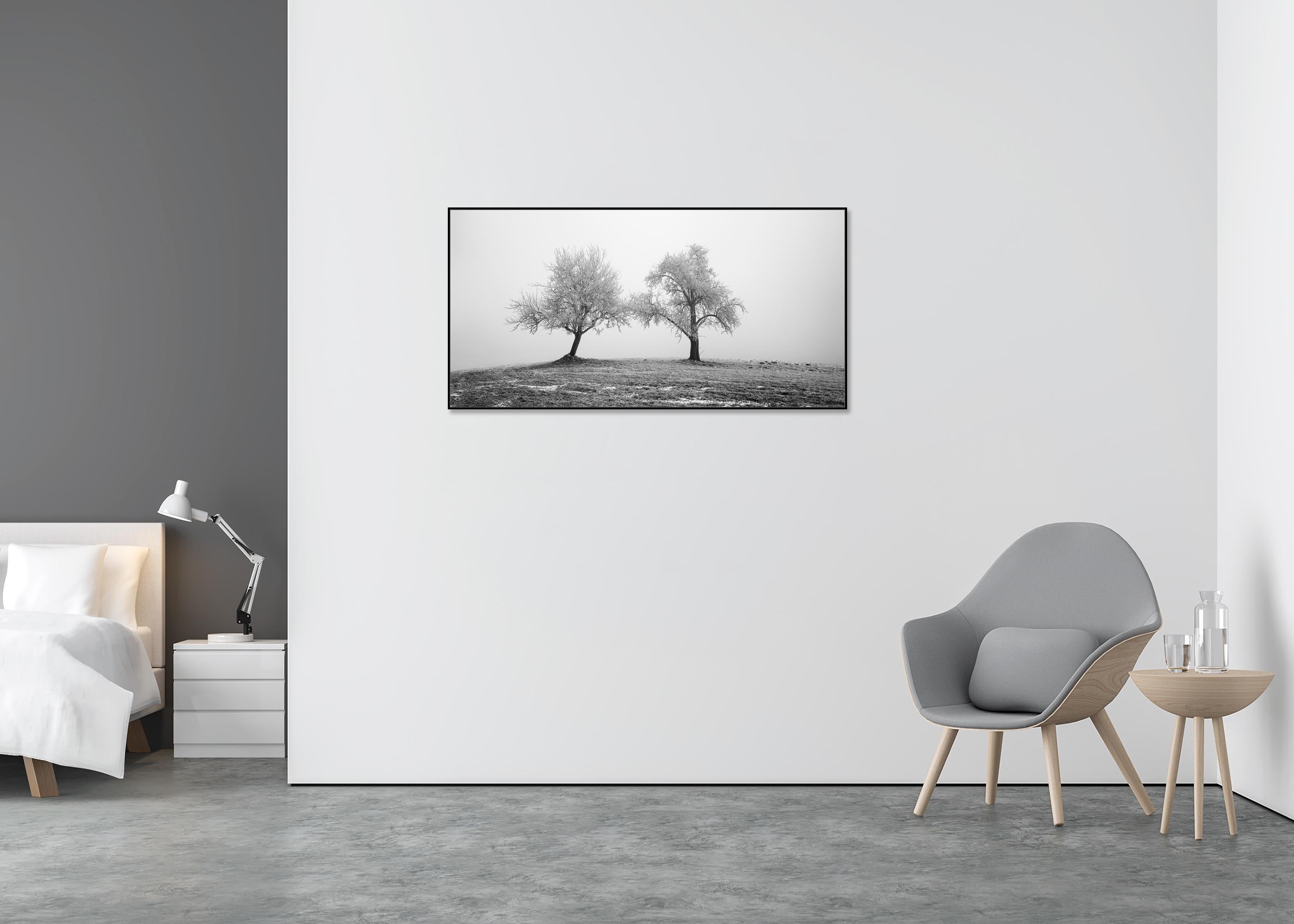 Zwei einsame gefrorene Bäume Panorama Landschaft Nature (Grau), Landscape Photograph, von Gerald Berghammer