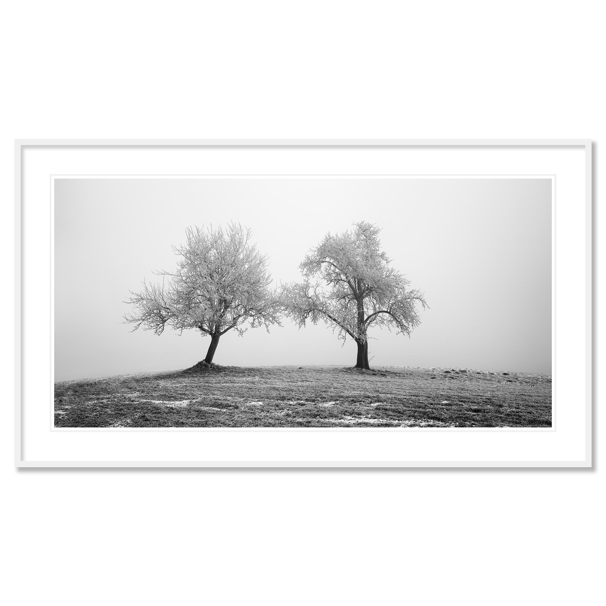Zwei einsame gefrorene Bäume Panorama Landschaft Nature im Angebot 1