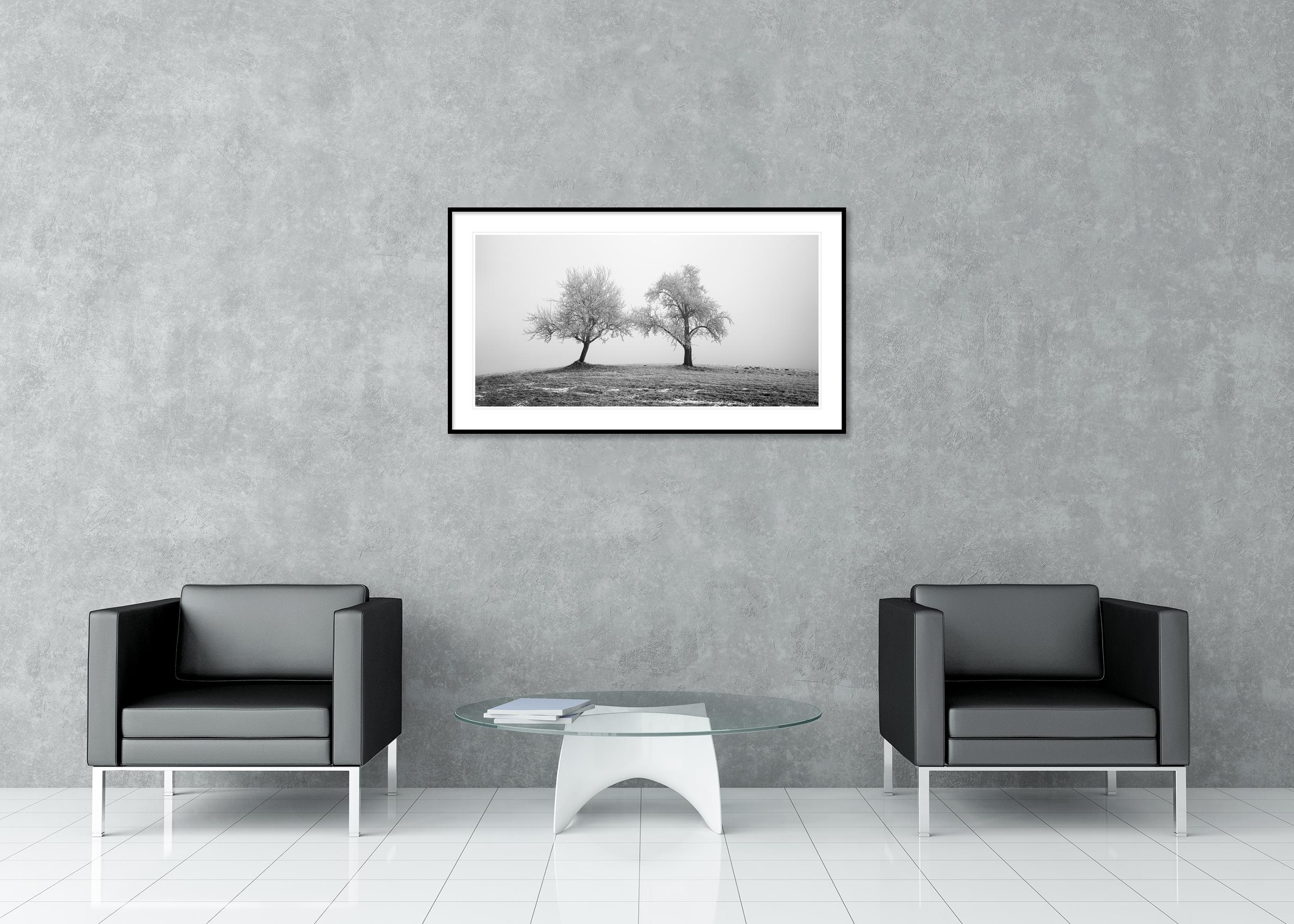 Zwei einsame gefrorene Bäume Panorama Landschaft Nature im Angebot 2