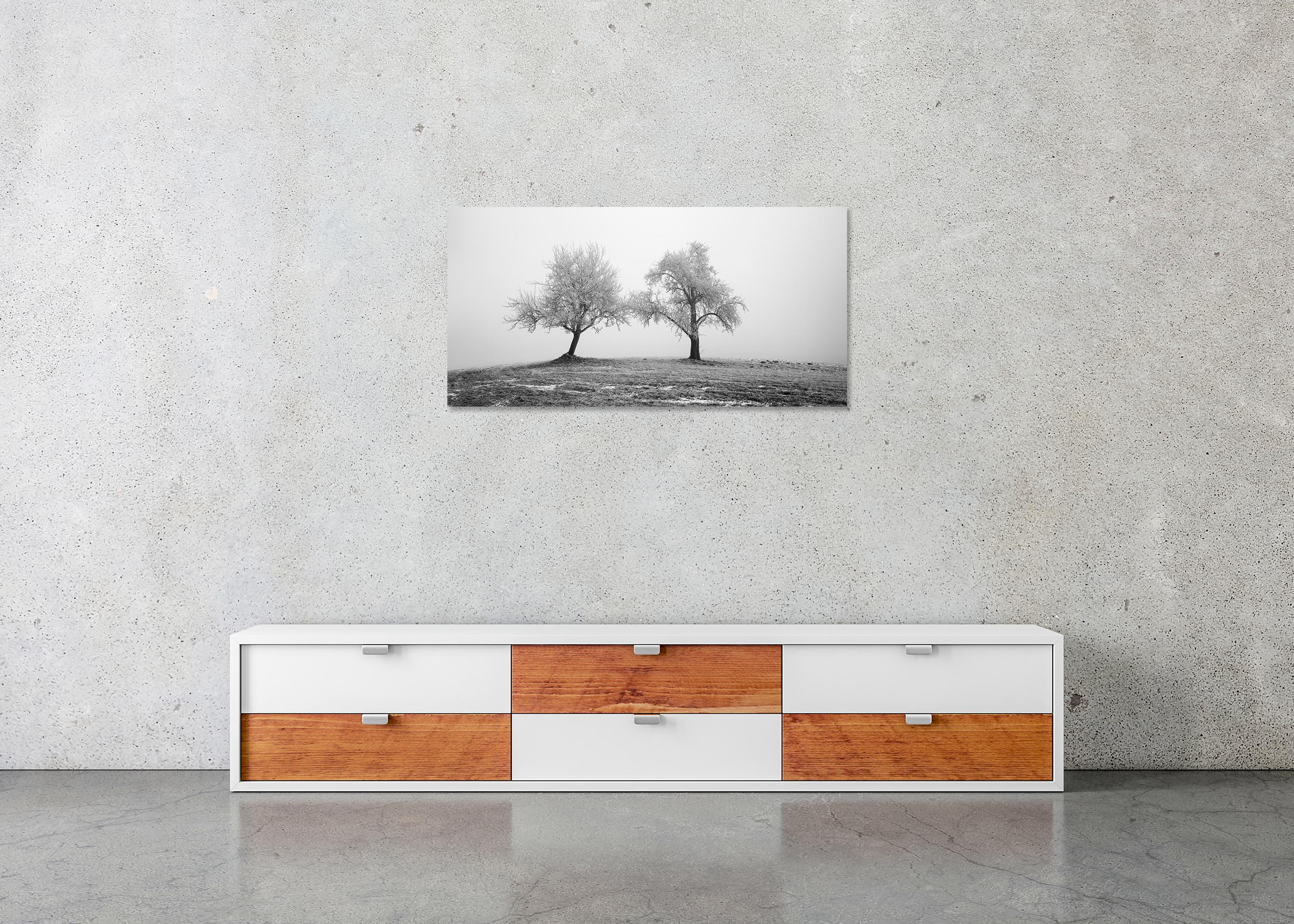 Zwei einsame gefrorene Bäume Panorama Landschaft Nature im Angebot 4