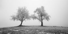 Black and White Photography