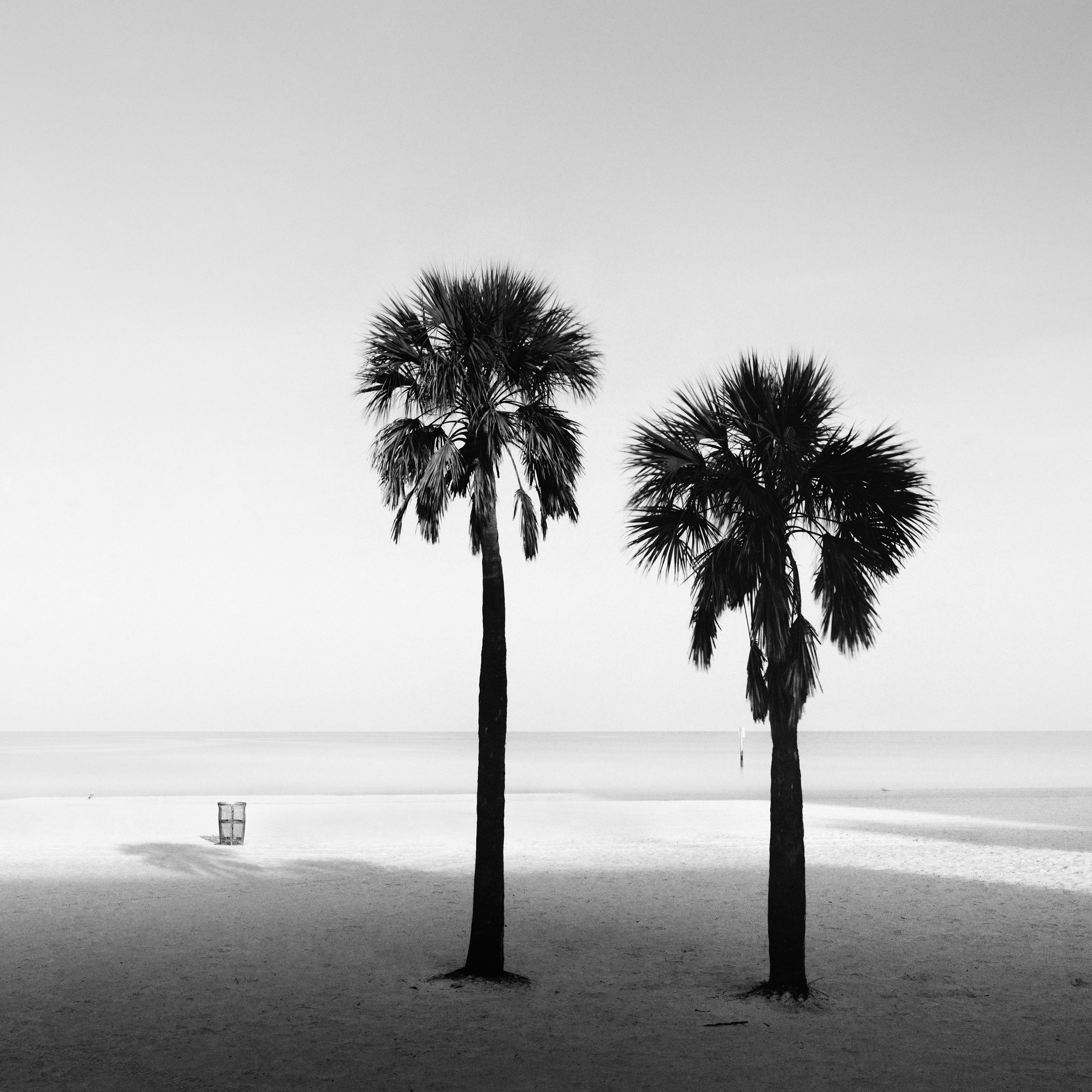 Two Palms Beach Florida USA black and white panorama landscape art photography   For Sale 4