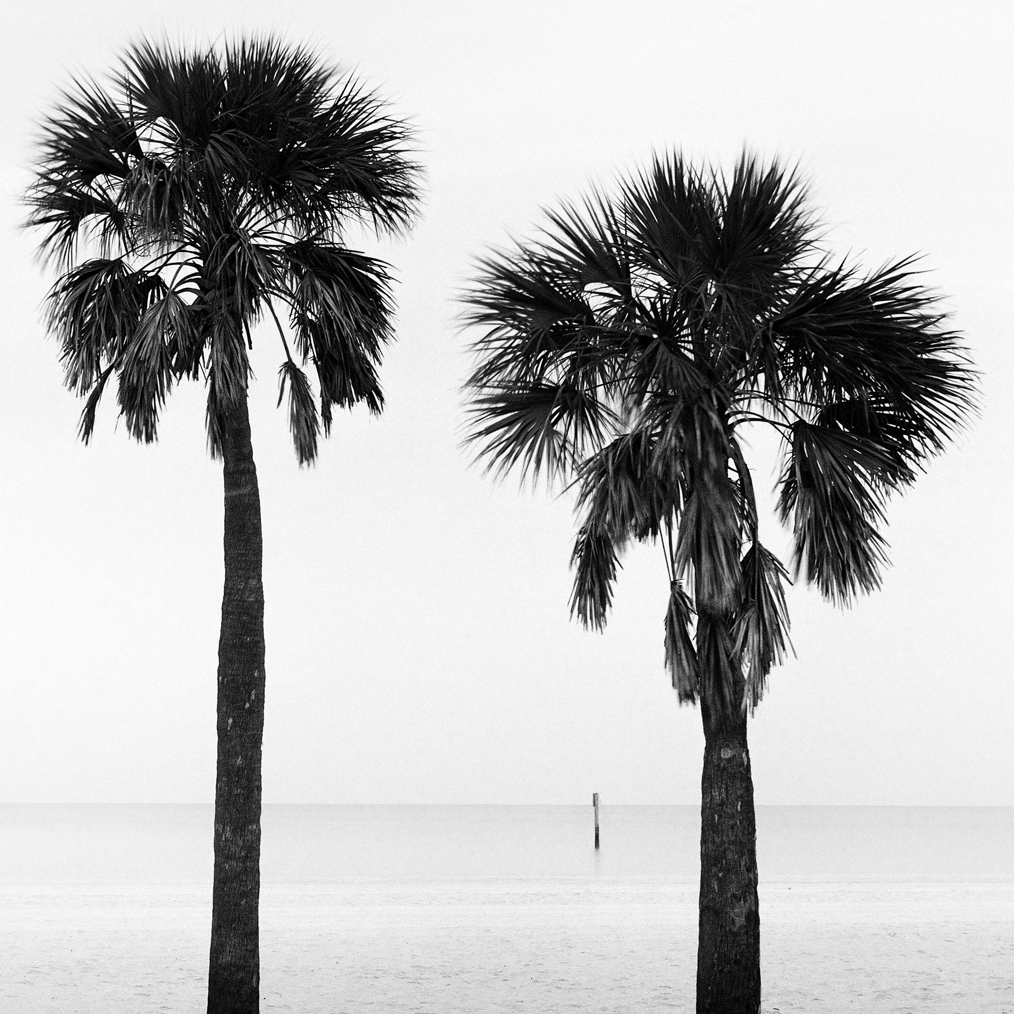 Two Palms, spiaggia deserta, Florida, USA, fotografia di paesaggio in bianco e nero in vendita 7