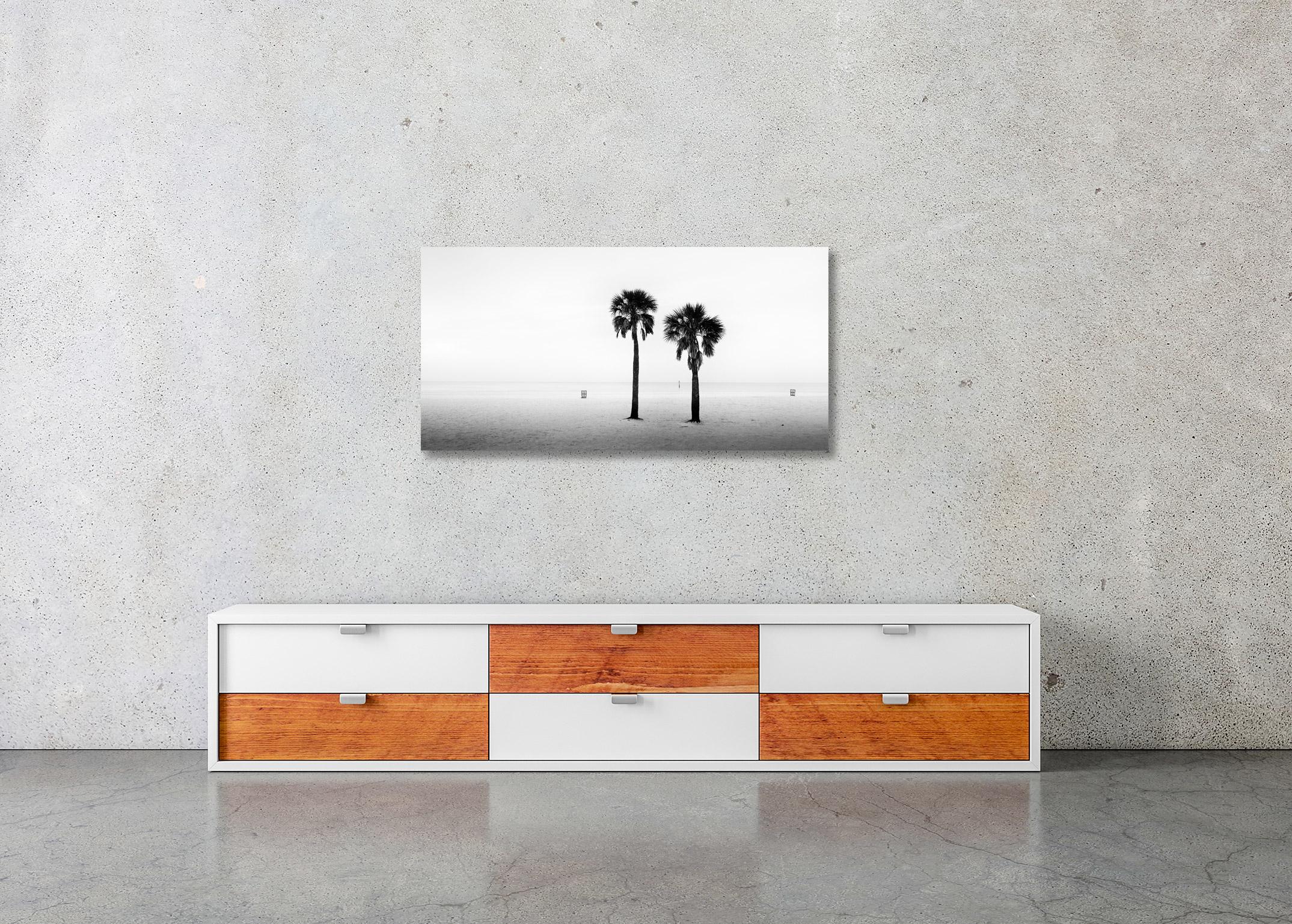 Zwei Palmen, verlassener Strand, Florida, USA, Schwarz-Weiß-Landschaftsfotografie im Angebot 2