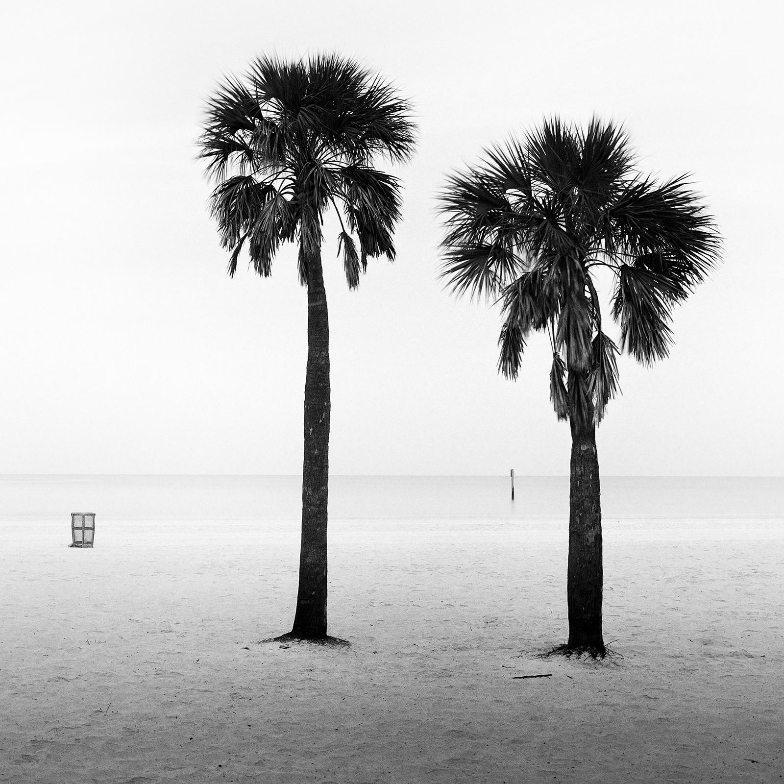 Two Palms, deserted beach, Florida, USA, Black and White landscape photography For Sale 3