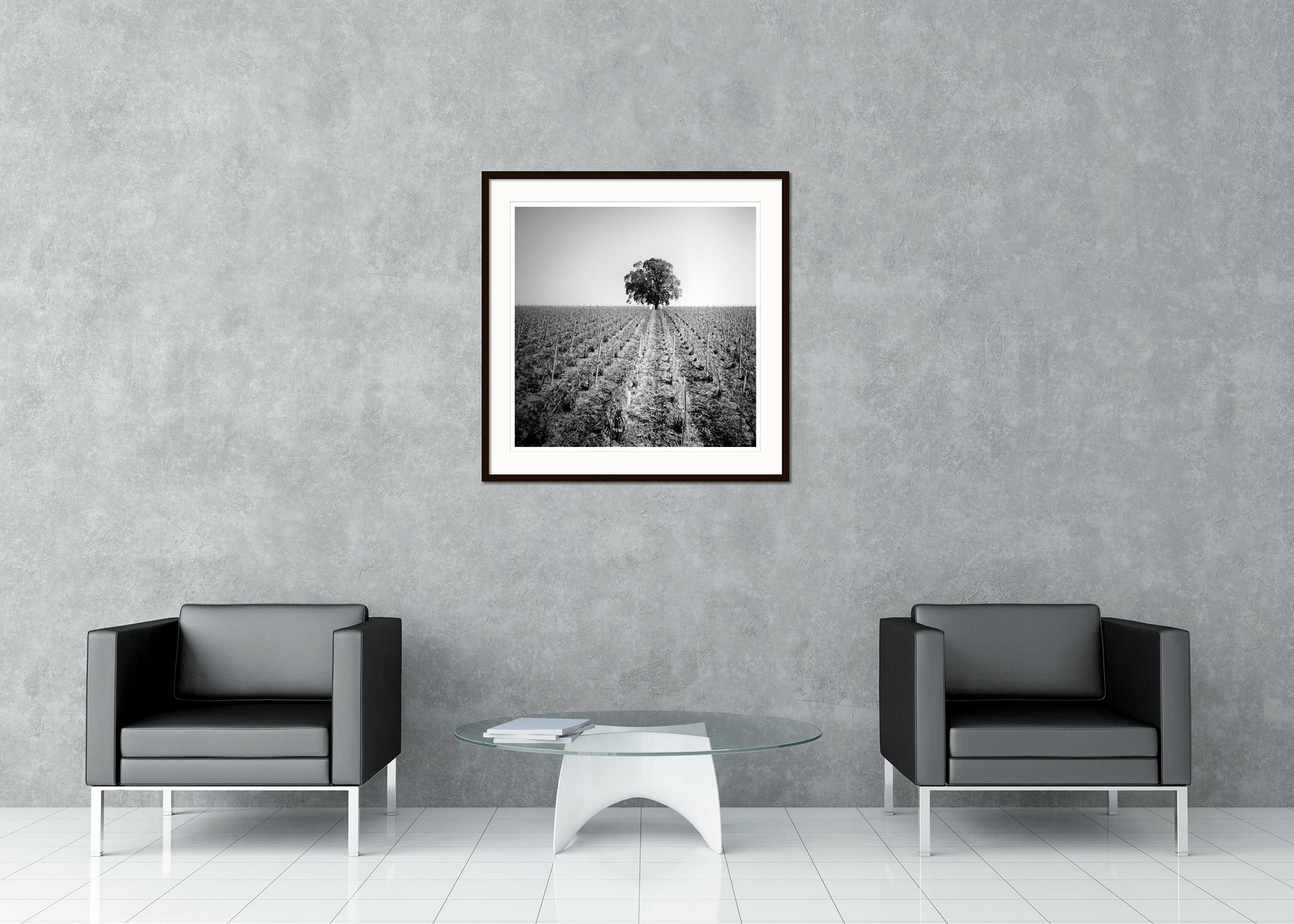 Black and white fine art landscape photography. Archival pigment ink print as part of a limited edition of 9. All Gerald Berghammer prints are made to order in limited editions on Hahnemuehle Photo Rag Baryta. Each print is stamped on the back and