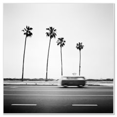 VW Bus T2 & Palm Trees, Santa Barbara – Black-and-White Photograph