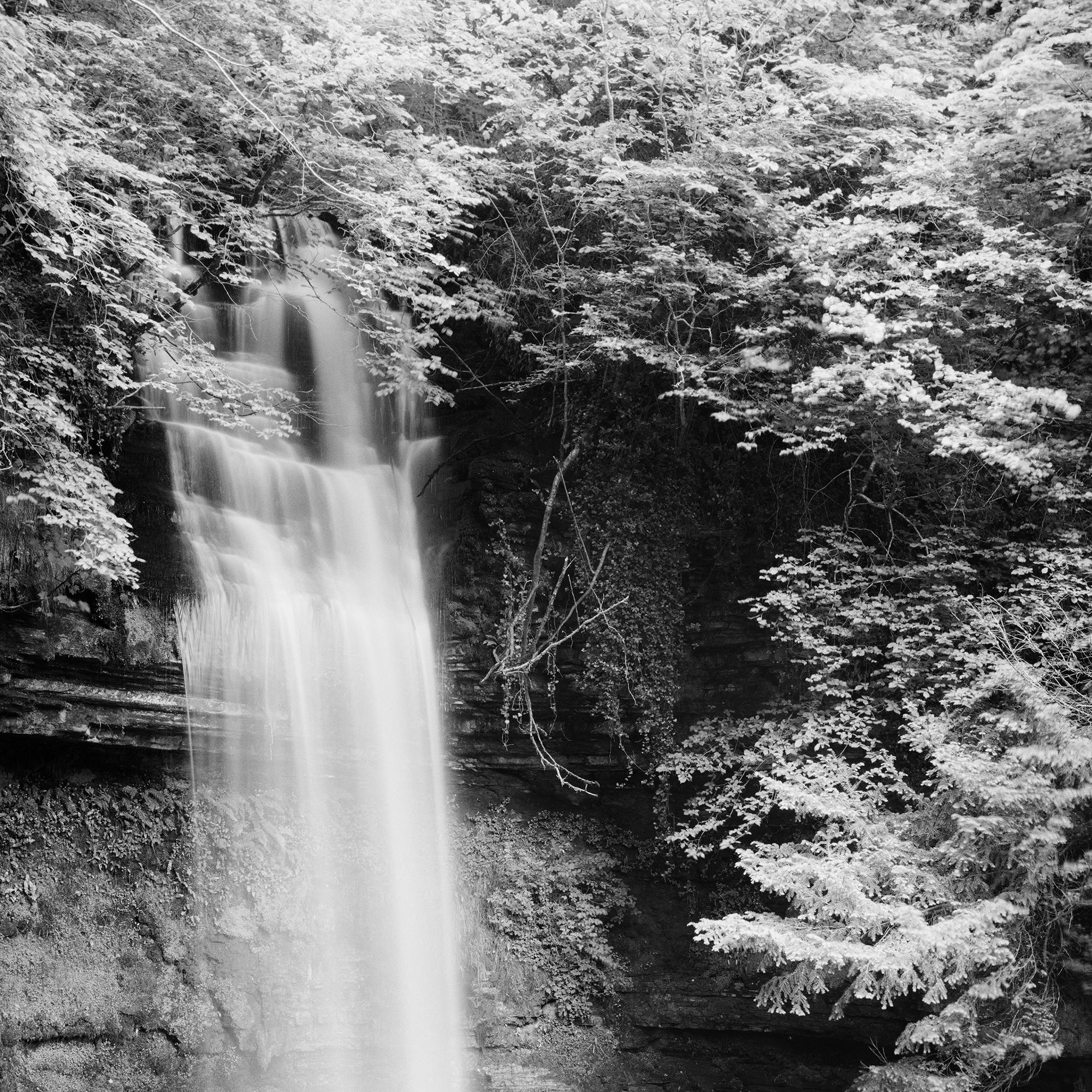 Waterfall, Ireland, black and white long exposure photography, landscape, art For Sale 3