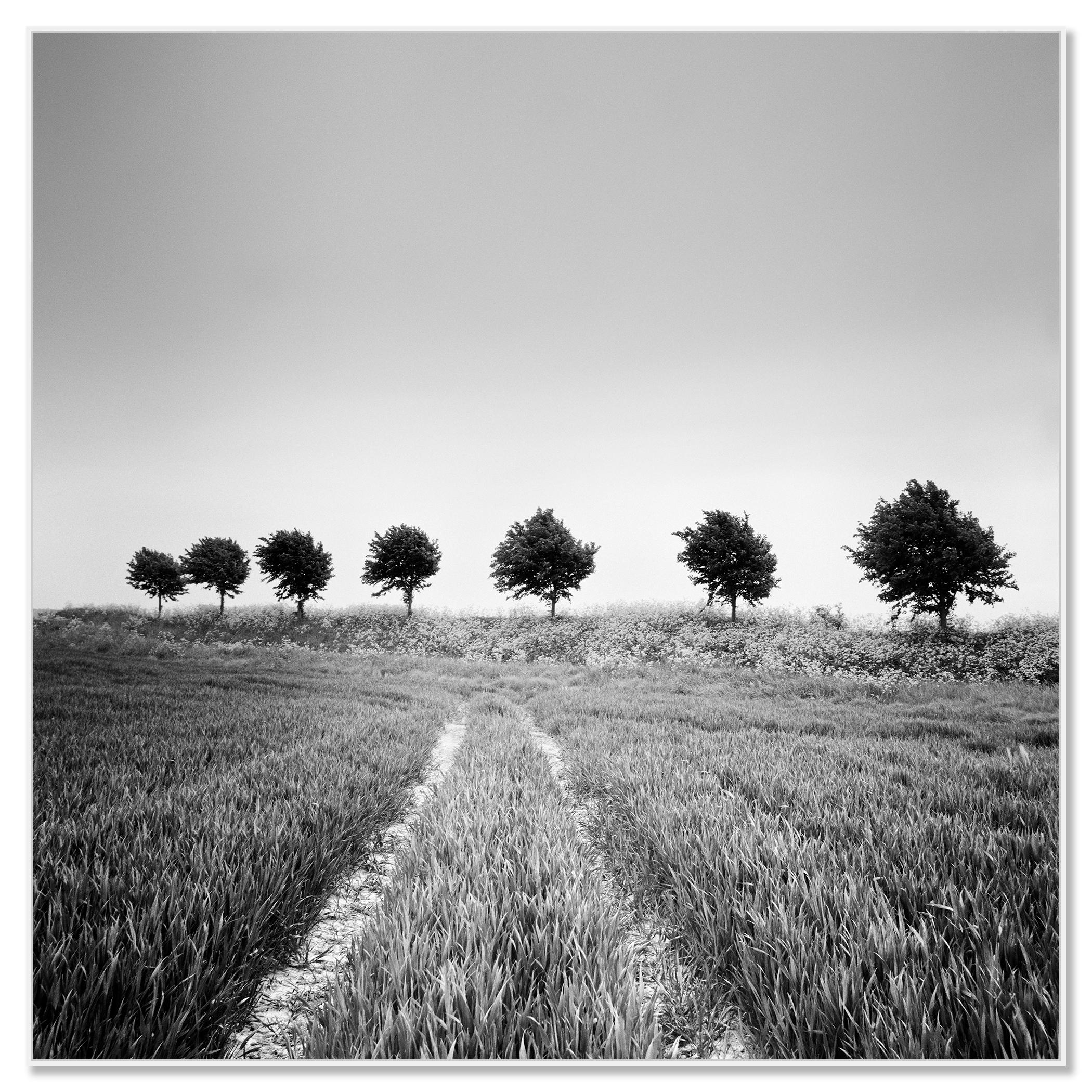 gerald field