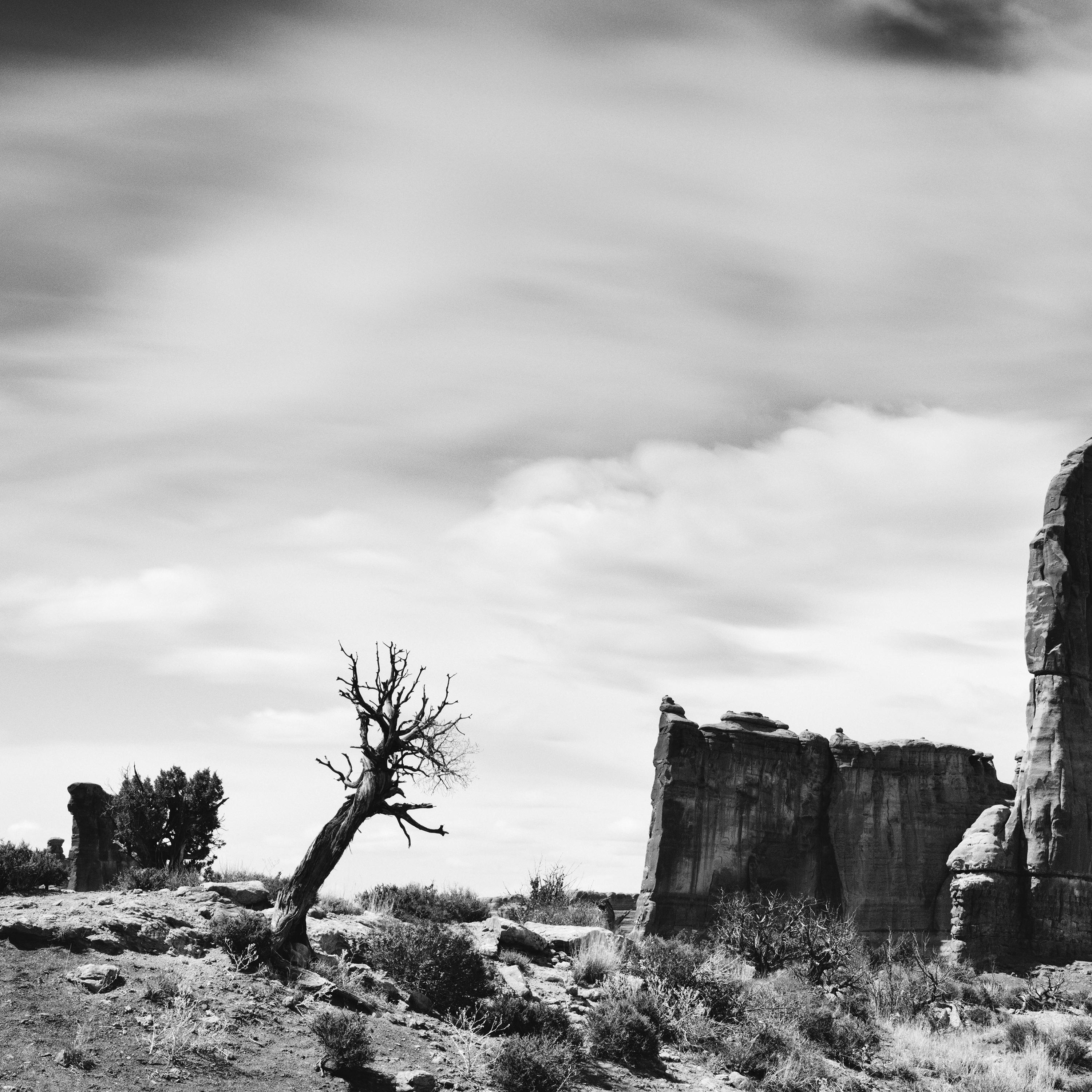 Panorama del Salvaje Oeste, Parque Arches, Utah, EE.UU., fotografía de paisaje en blanco y negro en venta 4