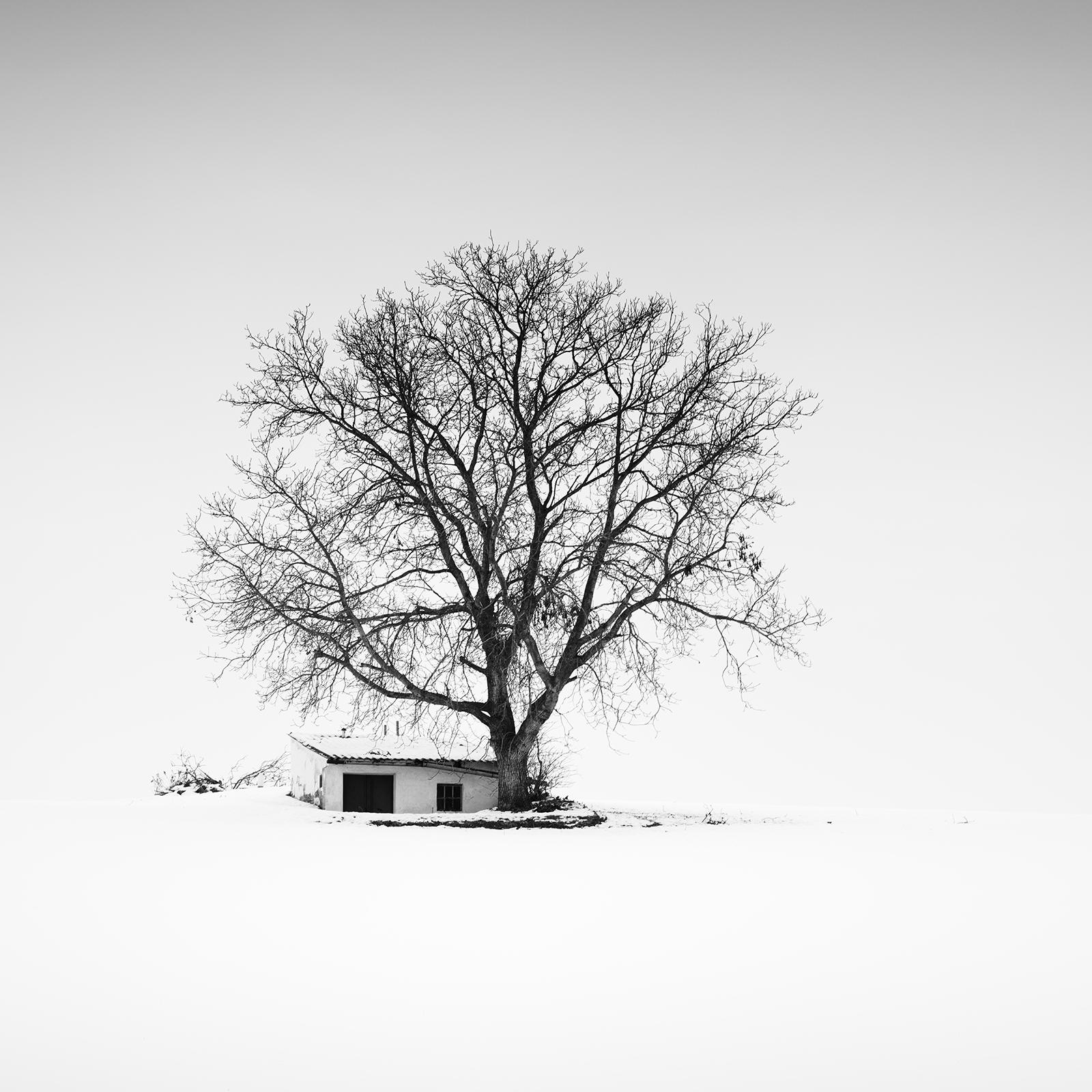 Press House, Winter, Austria, black and white photography, panorama, landscape For Sale 1