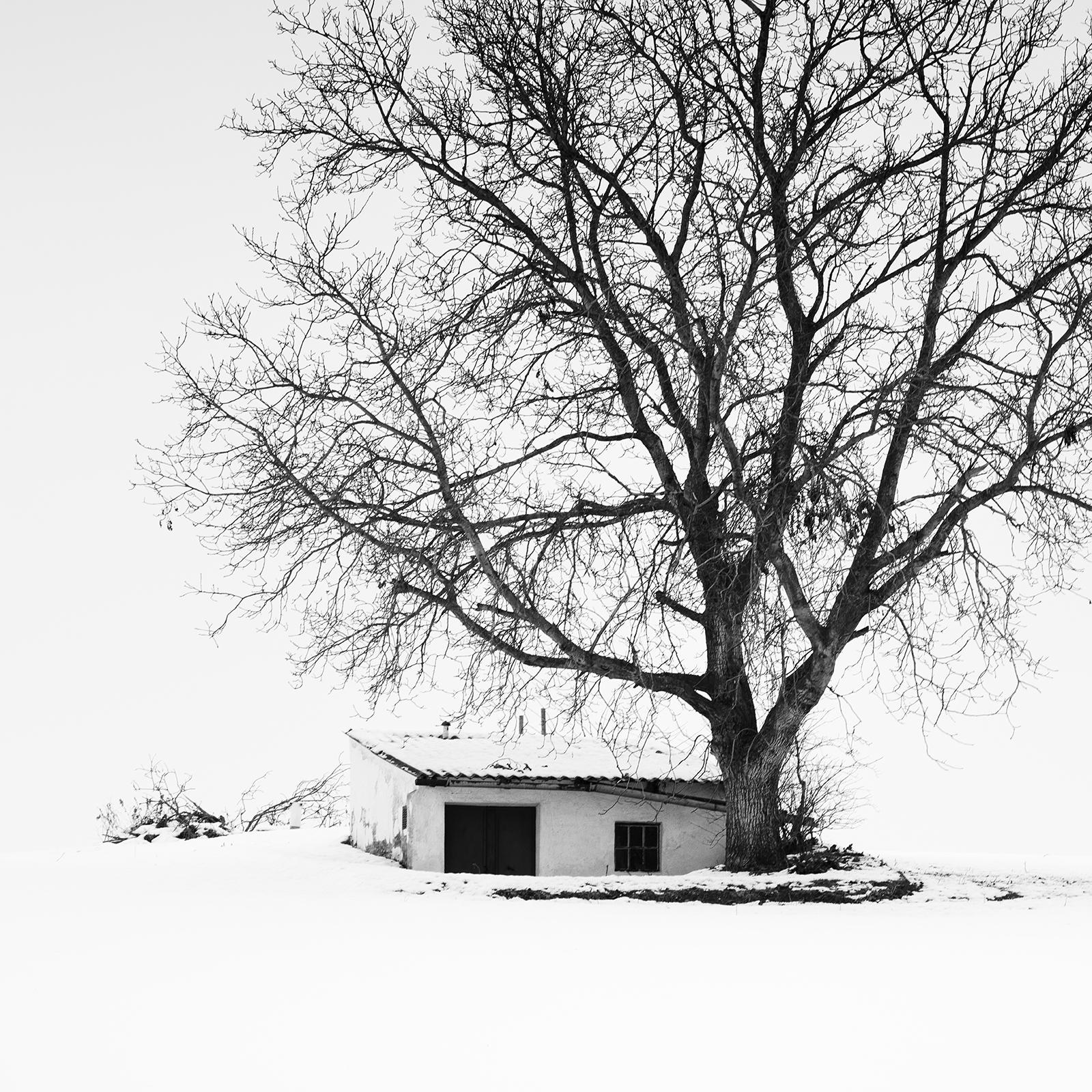 Press House, Winter, Austria, black and white photography, panorama, landscape For Sale 2