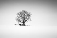 Wine Press House, Austria, Black and white photography panorama winter landscape