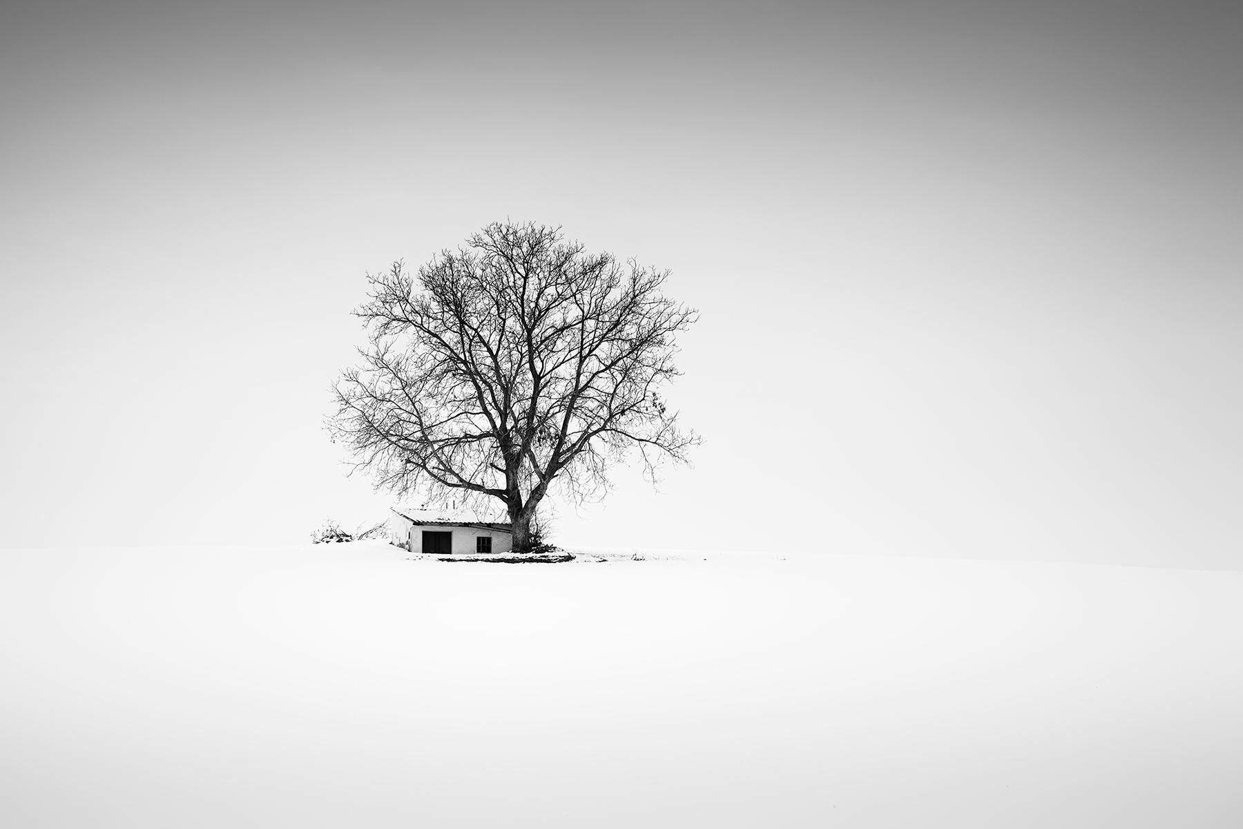 Gerald Berghammer Landscape Photograph - Press House, Winter, Austria, black and white photography, panorama, landscape
