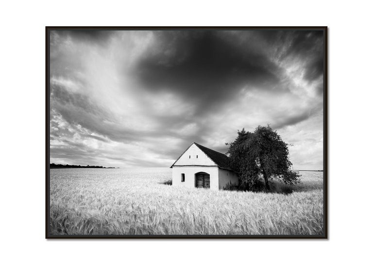 Wine Press House, Cornfield, Austria, black and white photography, landscape - Photograph by Gerald Berghammer