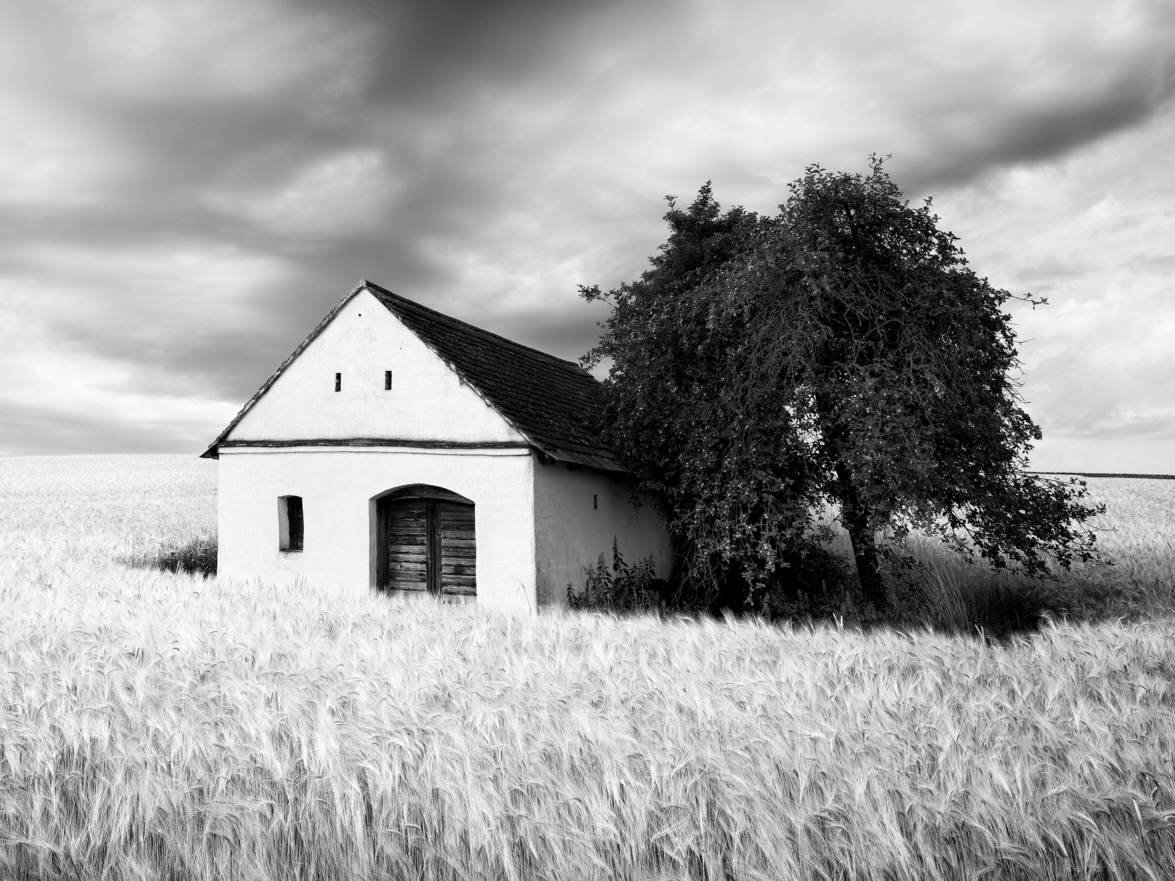 Wine Press House, wheat field, heavy clouds, black & white landscape photography For Sale 3