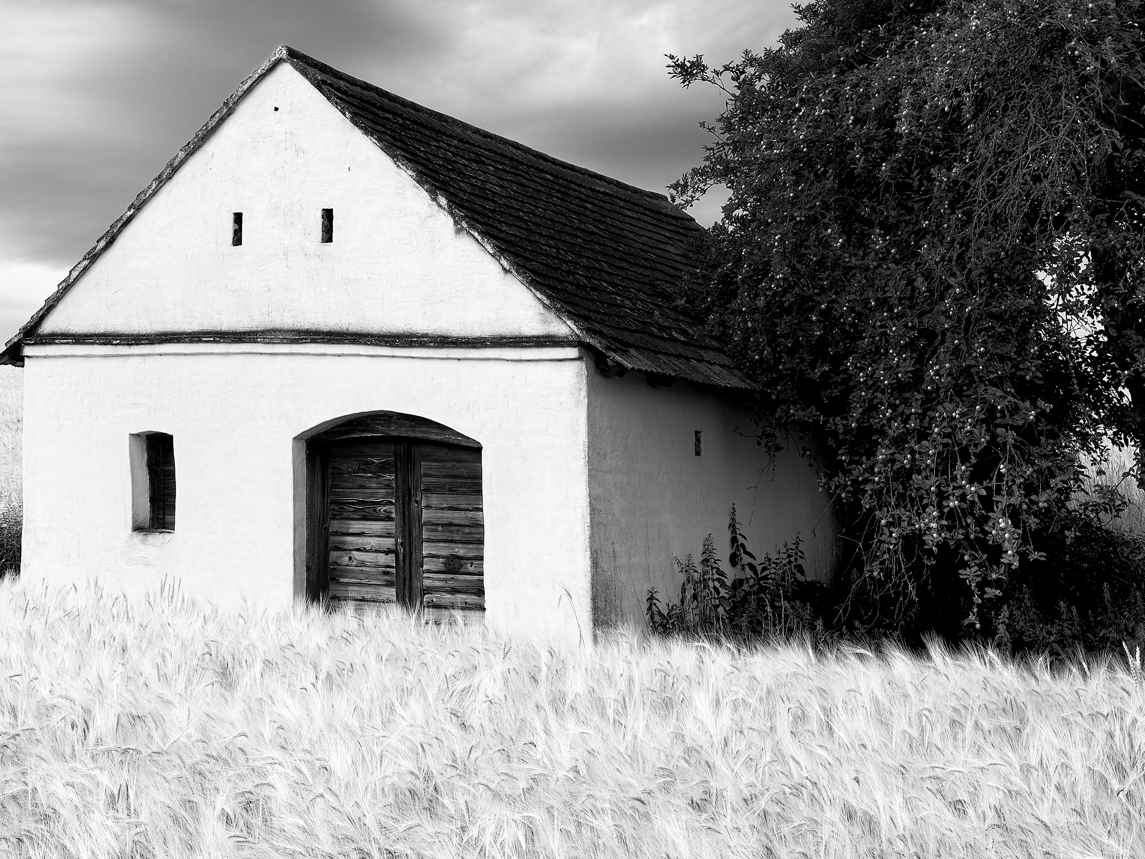 Wine Press House, wheat field, heavy clouds, black & white landscape photography For Sale 4