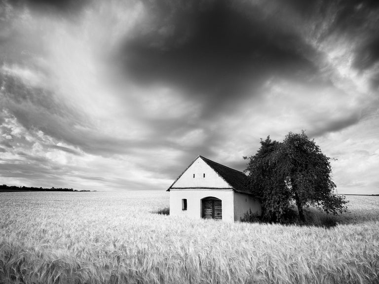 Gerald Berghammer Black and White Photograph - Wine Press House, Cornfield, Austria, black and white photography, landscape
