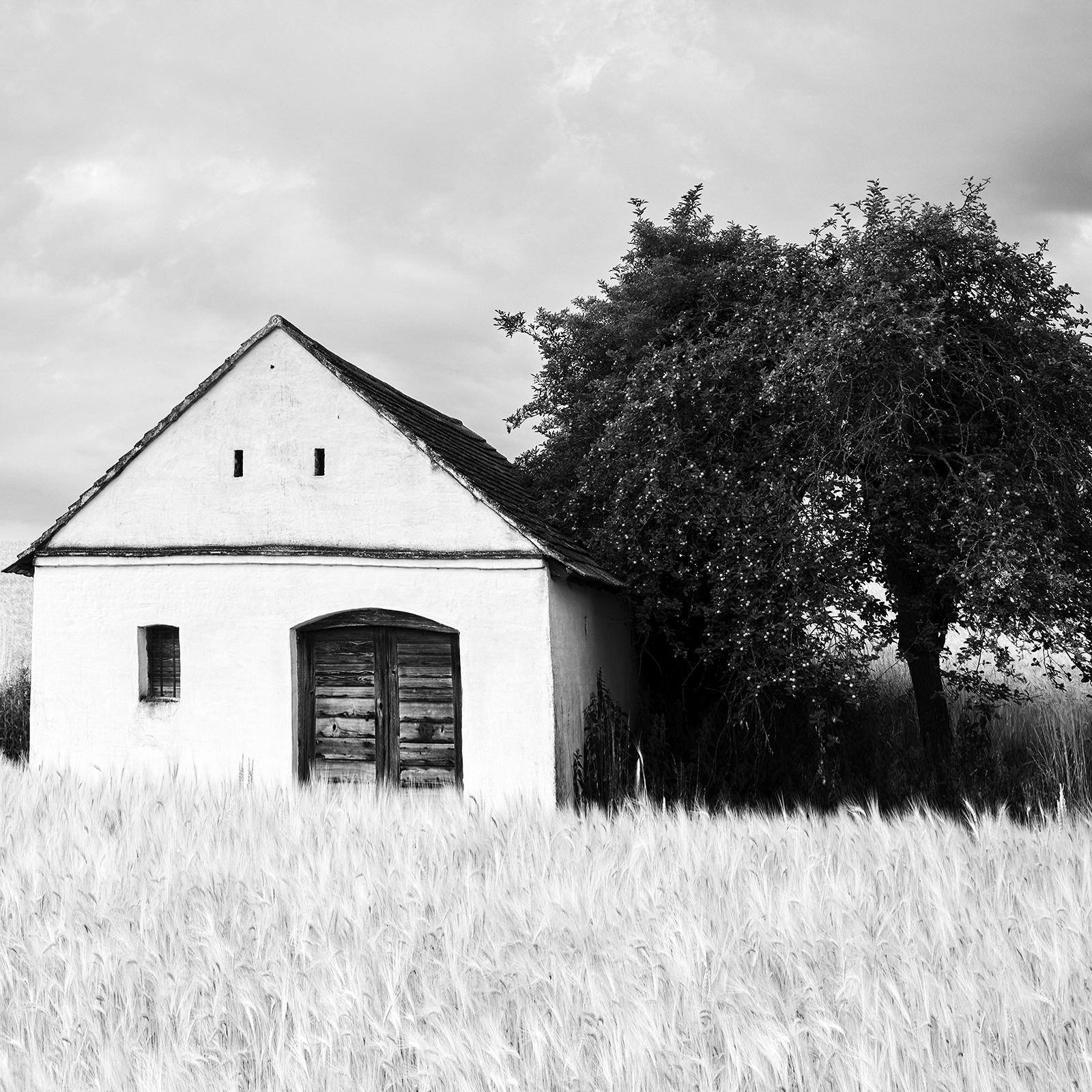 Wine Press House, Cornfield, Schwarz-Weiß-Fotografie, Druck in limitierter Auflage im Angebot 5